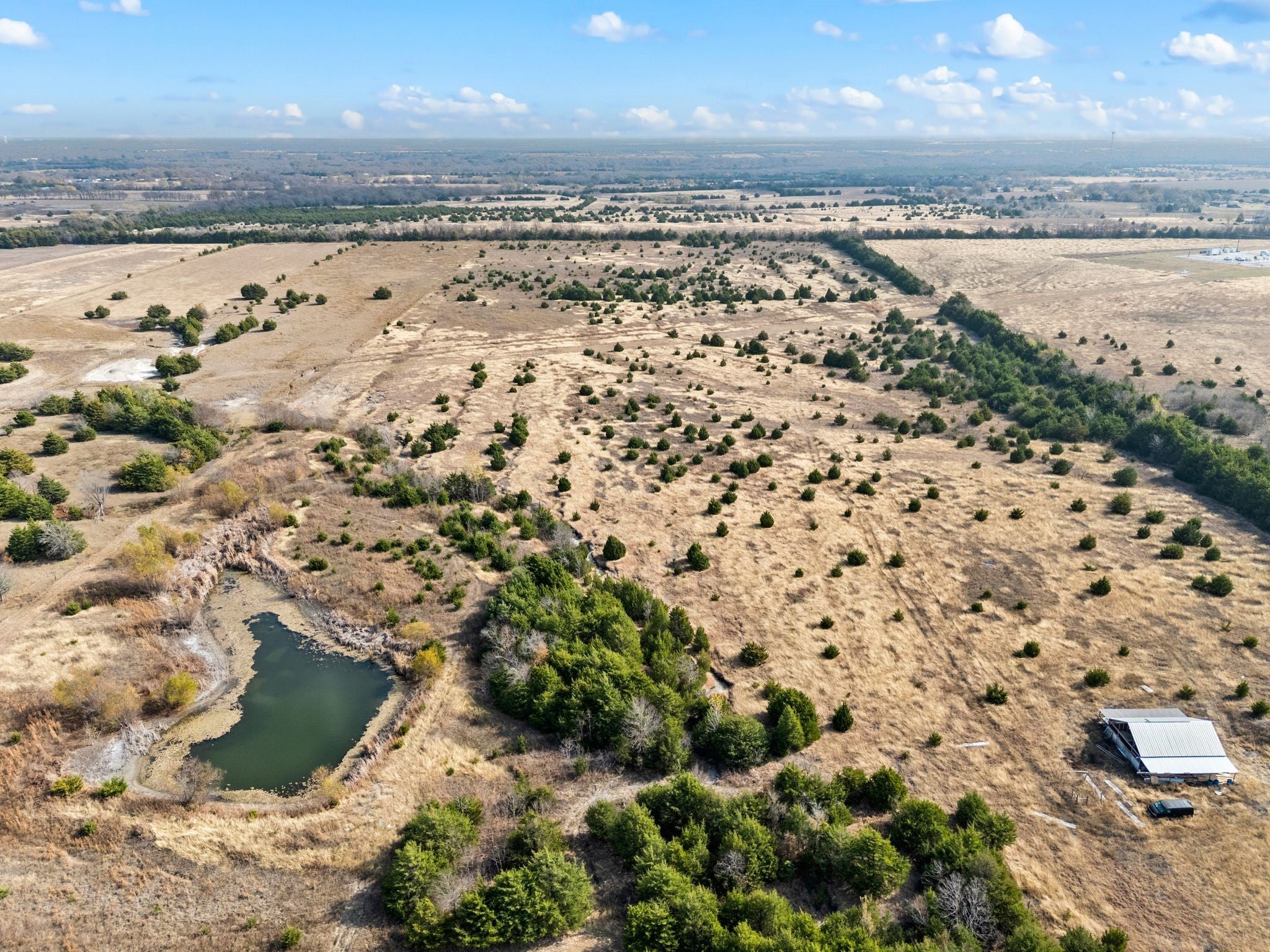 Farmersville, Texas, 75442, United States, 3 Bedrooms Bedrooms, ,2 BathroomsBathrooms,Residential,For Sale,1995432