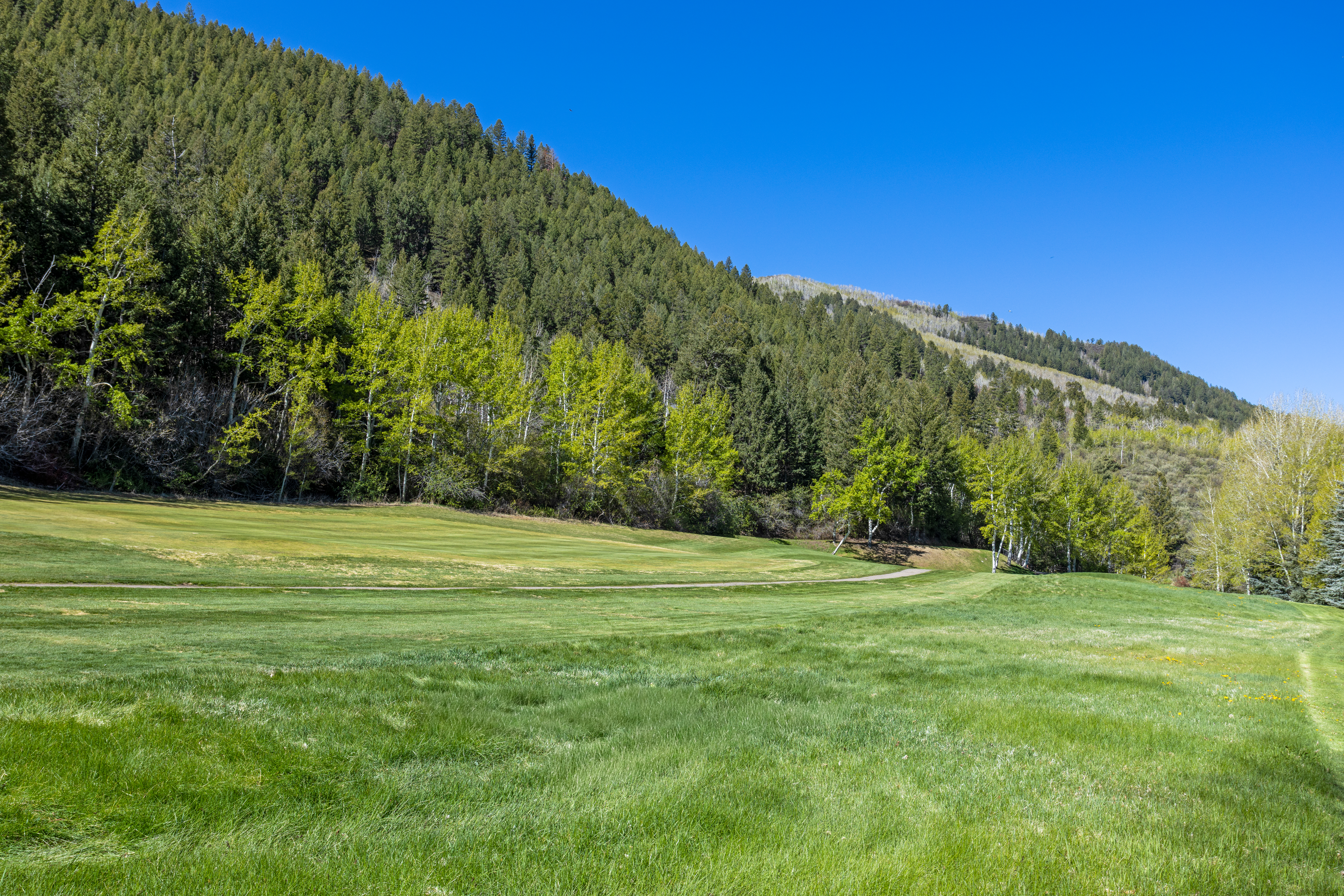  625 Stone Creek Drive, Avon, CO, 81620 - 物件實景