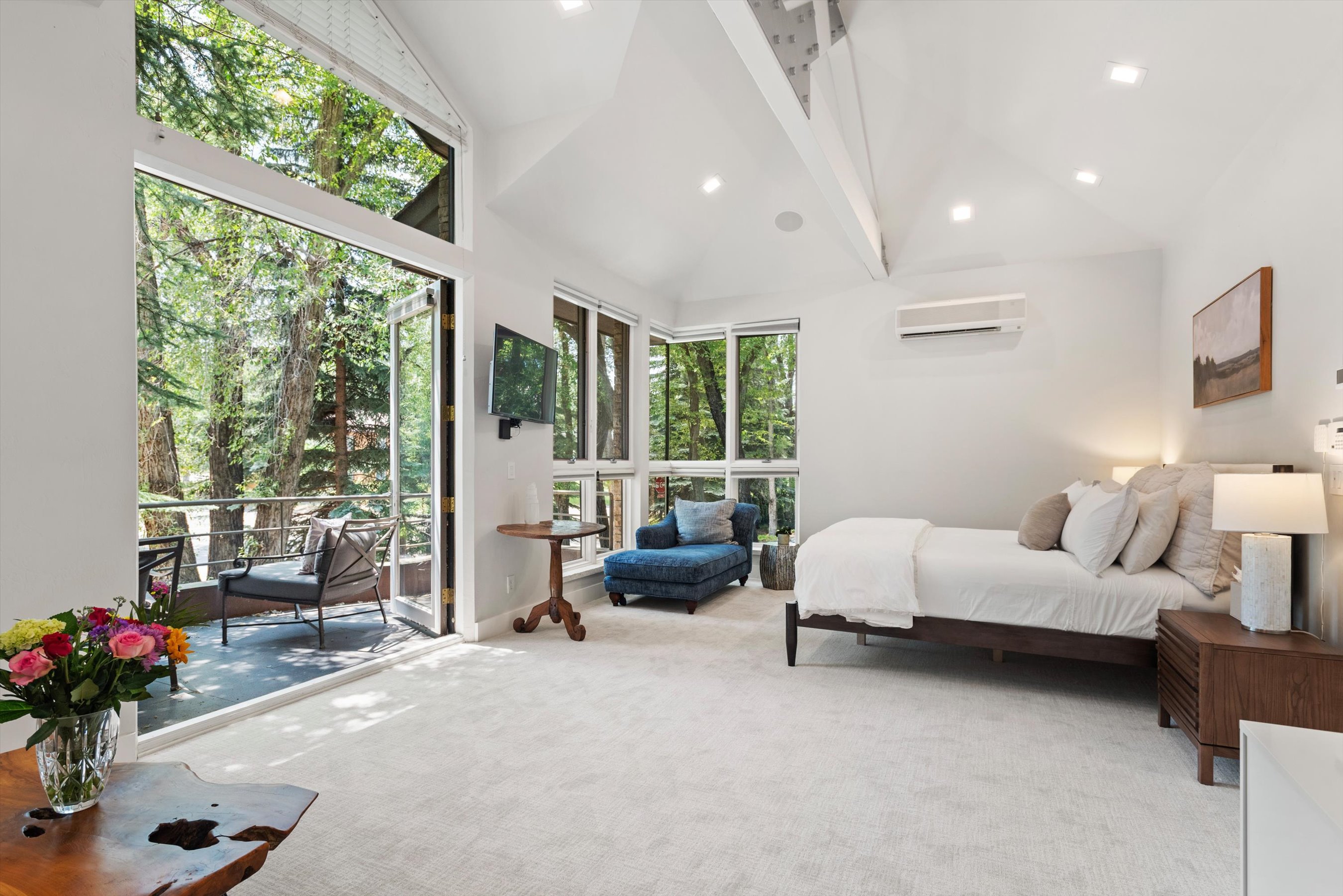  736 W Smuggler Street, Aspen, CO, 81611 - 物件實景