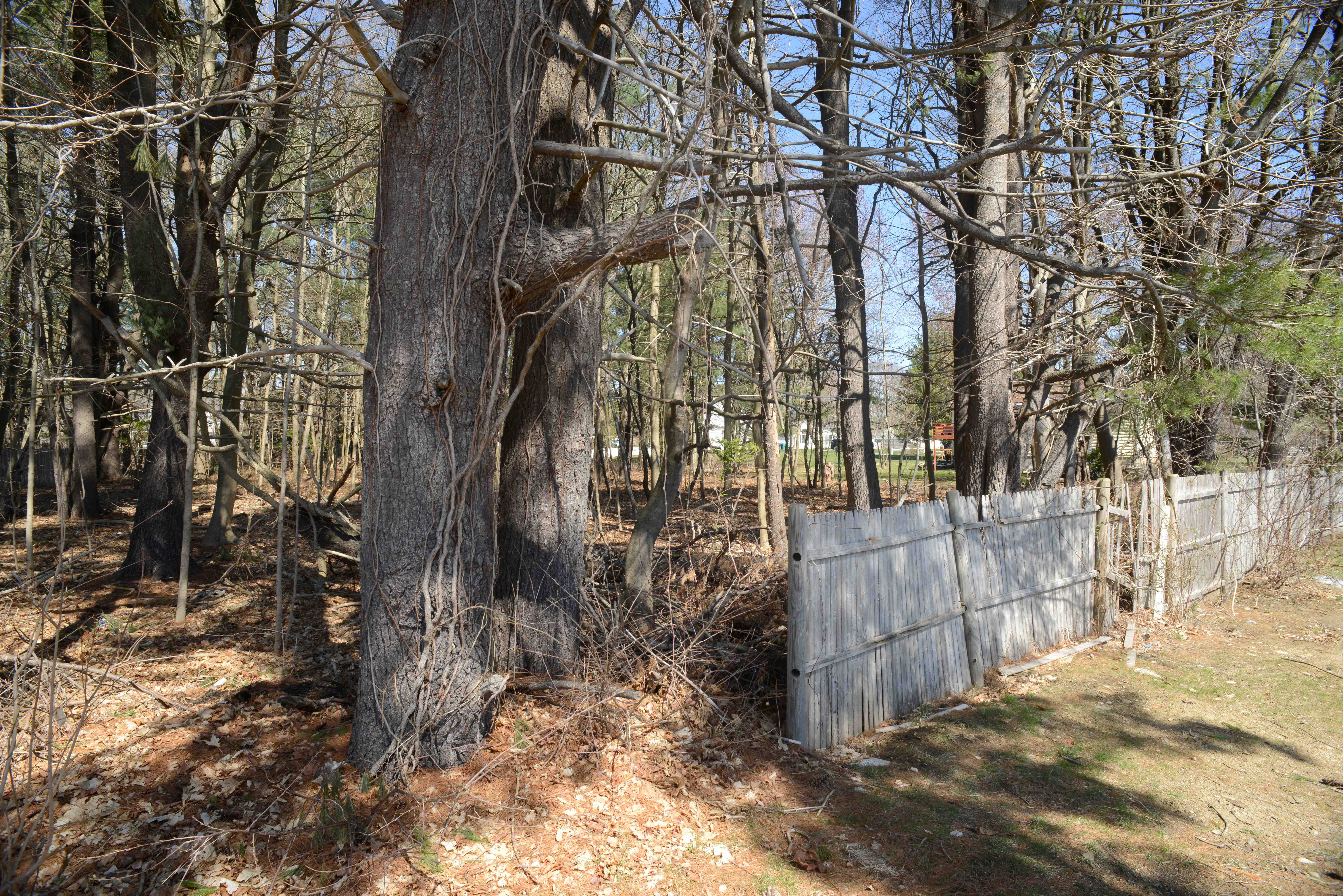 Hampton, New Hampshire, 03842, United States, ,Land,For Sale,1777257