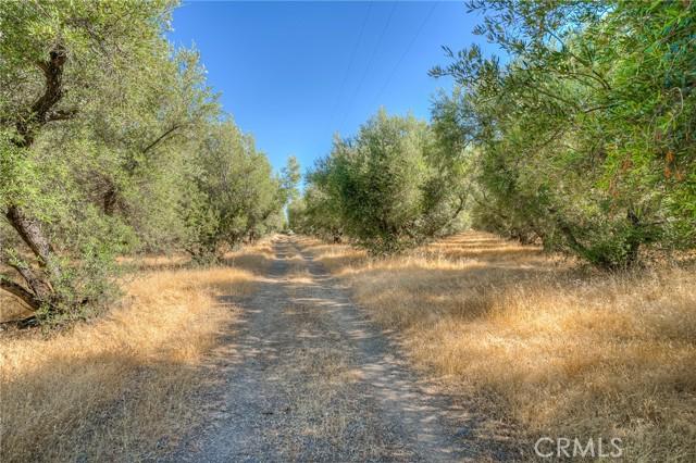 Oroville, California, 95965, United States, ,Land,For Sale,1981865