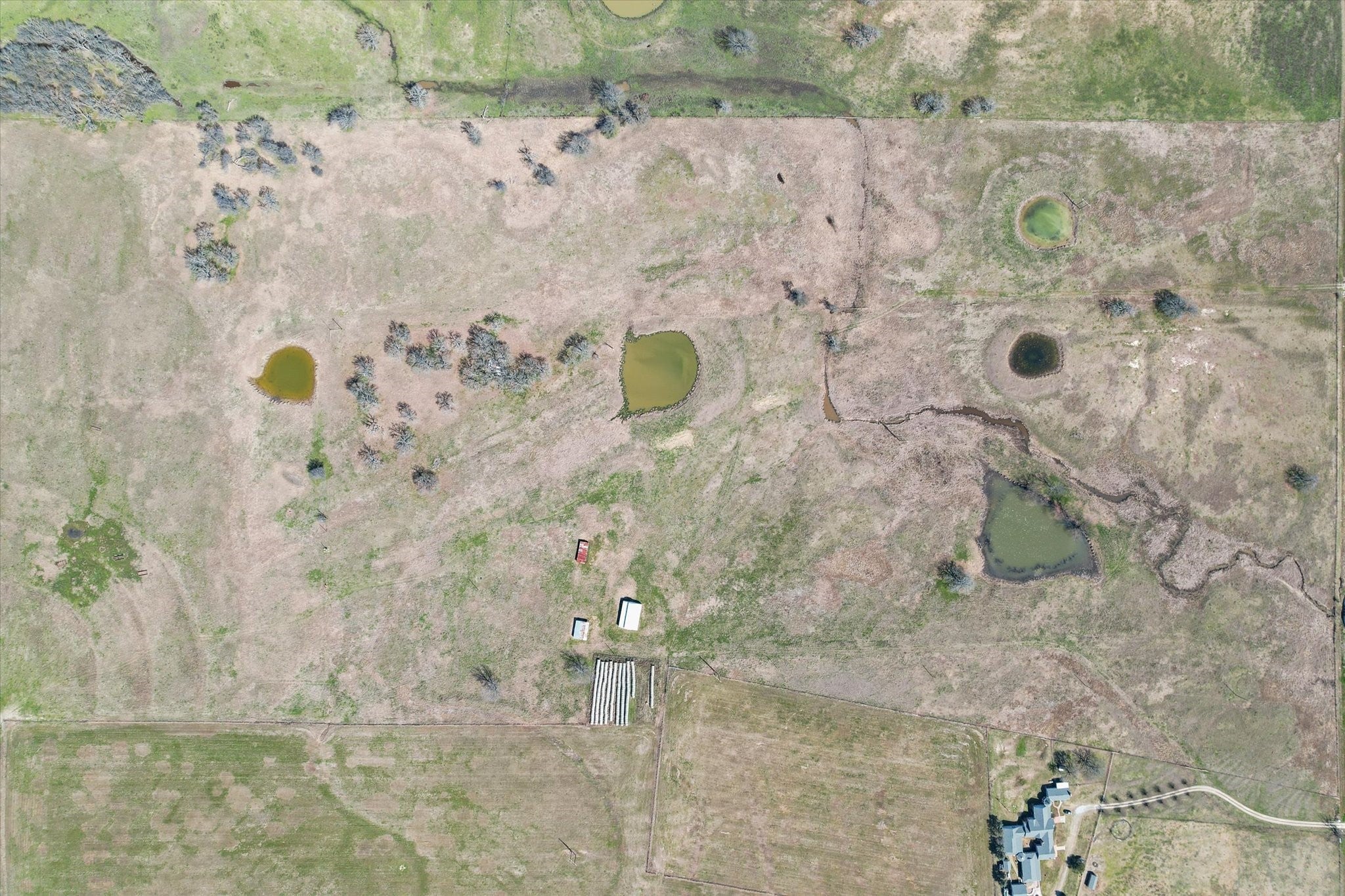 Frost, Texas, 76641, United States, ,Land,For Sale,1978385