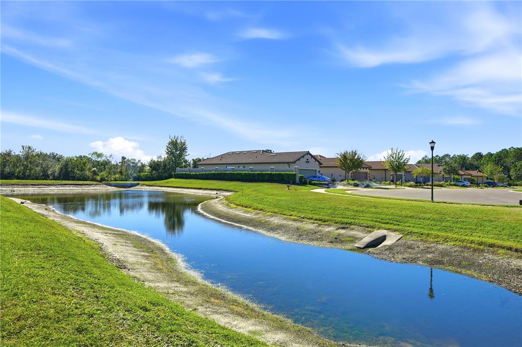 Tampa, Florida, 33647, United States, 3 Bedrooms Bedrooms, ,2 BathroomsBathrooms,Residential,For Sale,2000838