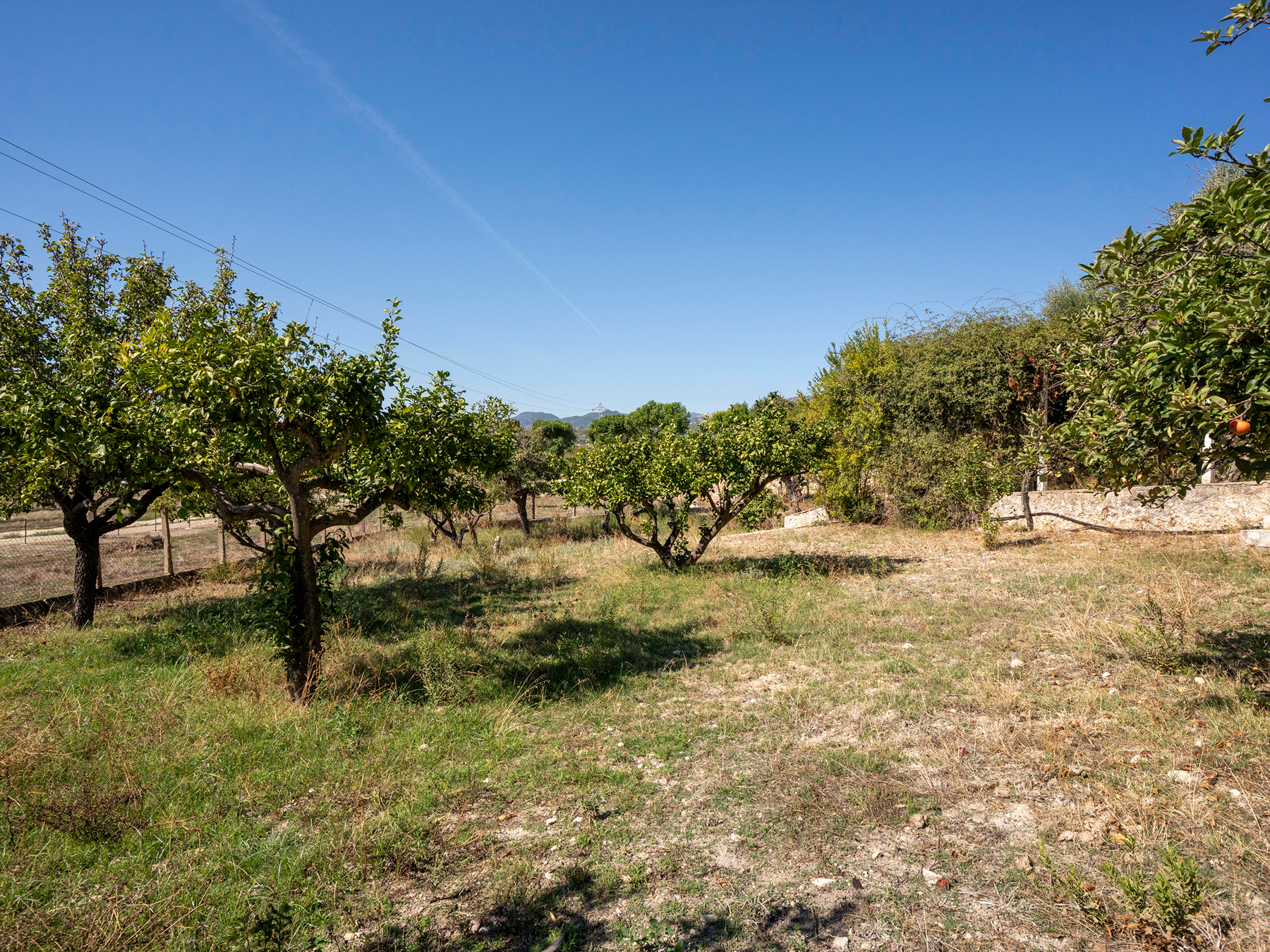  Traditional mallorcan house with pool and large gardens in Campanet - 物件實景