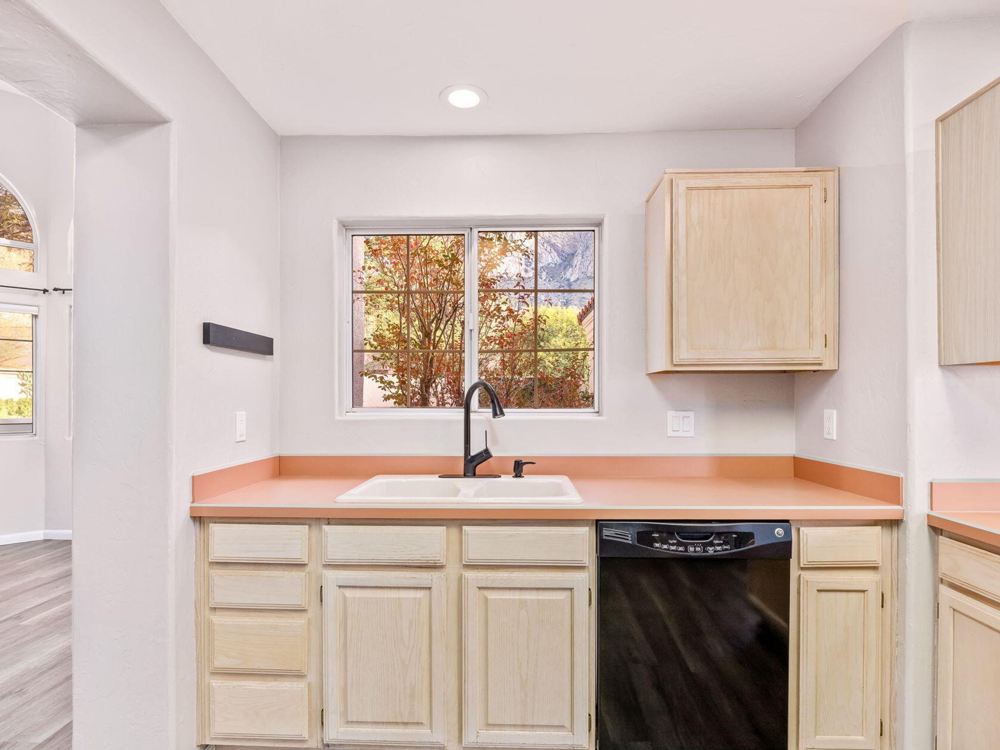  1529 E Ram Canyon Drive  Tucson, AZ - 物件實景