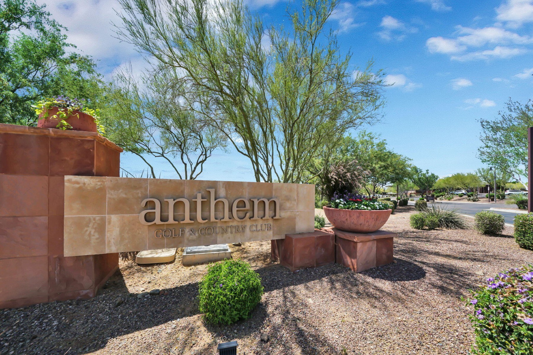  41505 N Whistling Strait Dr  Anthem, AZ - 物件實景