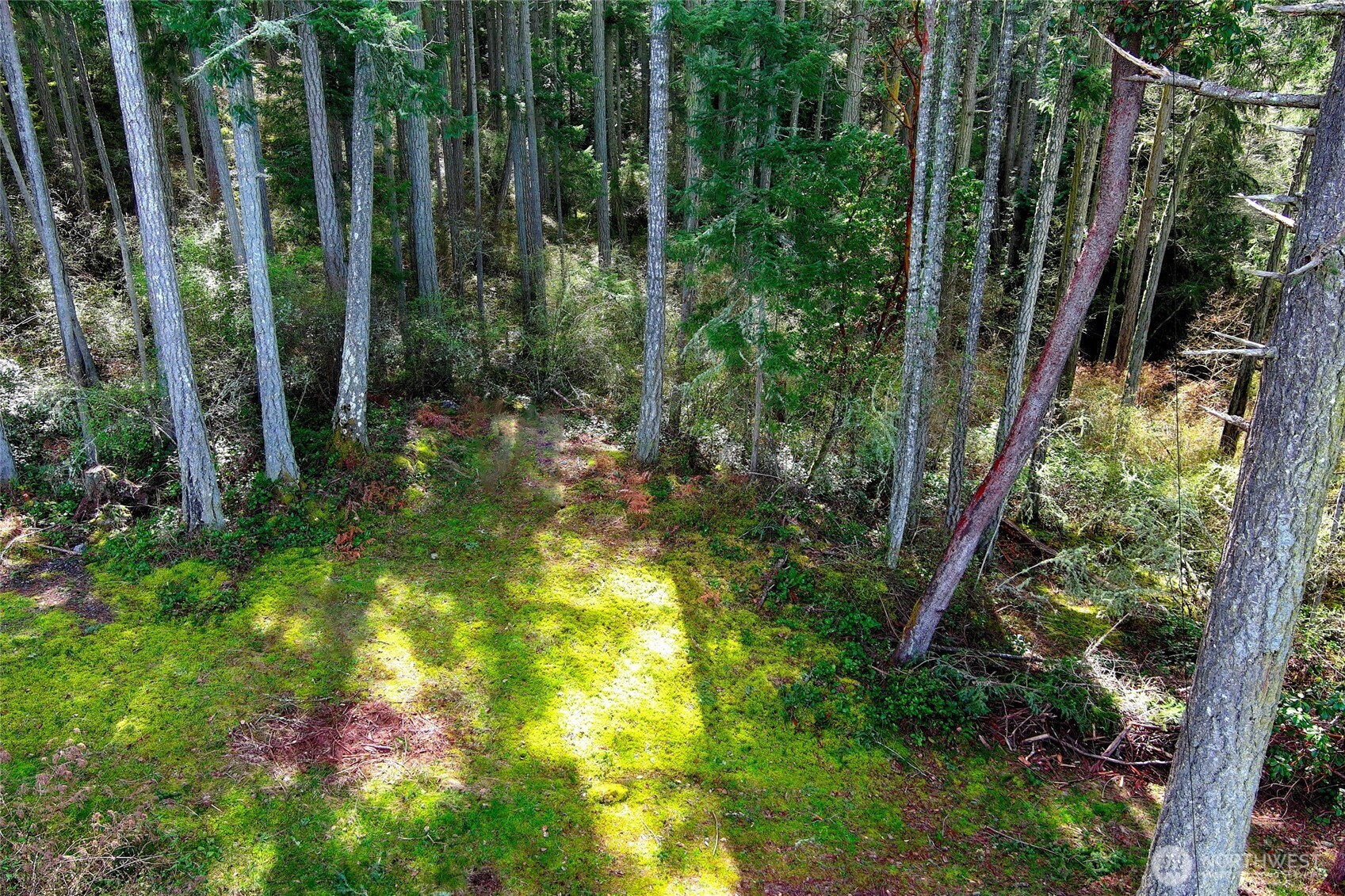 Friday Harbor, Washington, 98250, United States, ,Land,For Sale,1796697