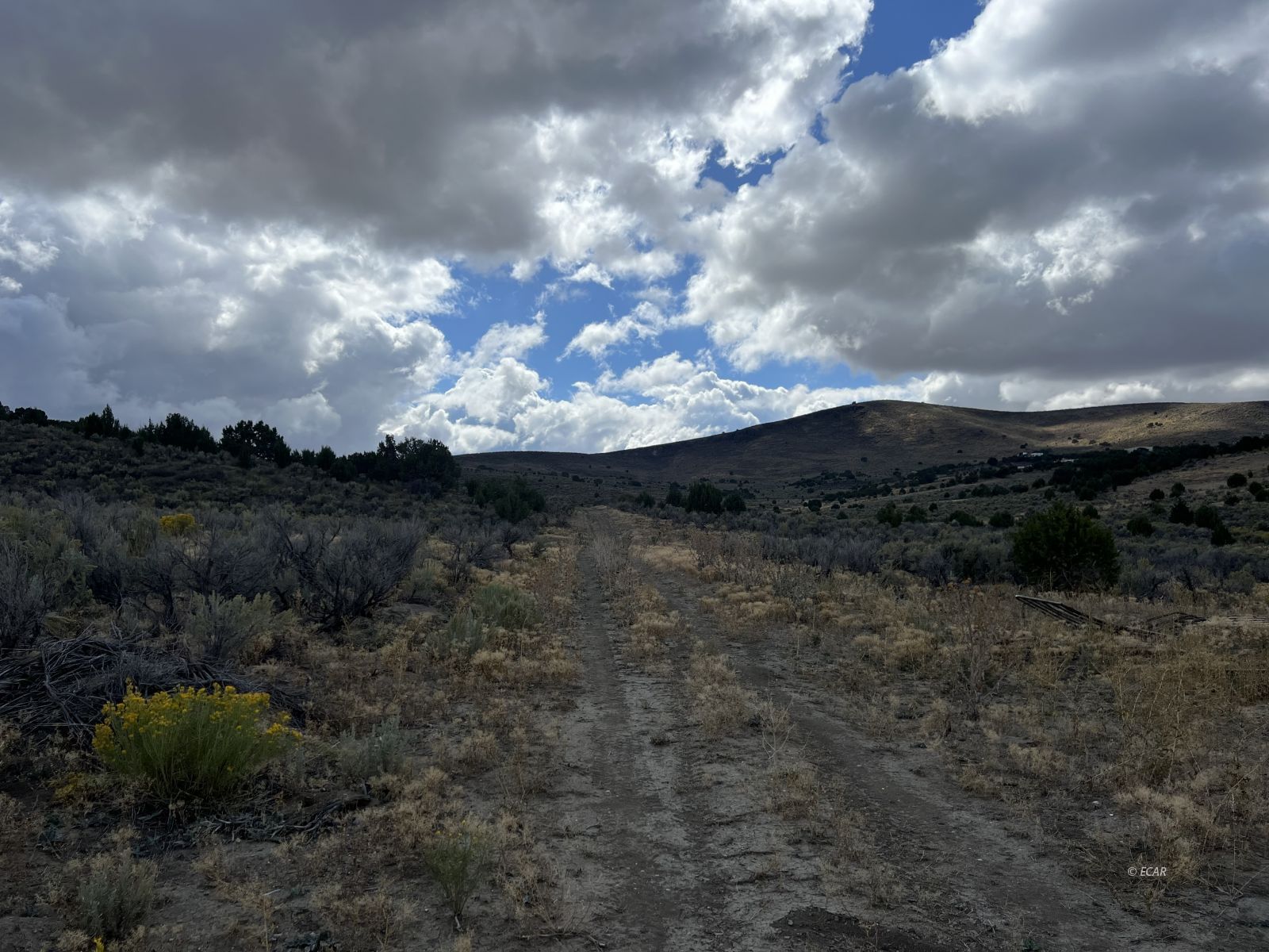 Elko, Nevada, 89801, United States, ,Land,For Sale,1925378