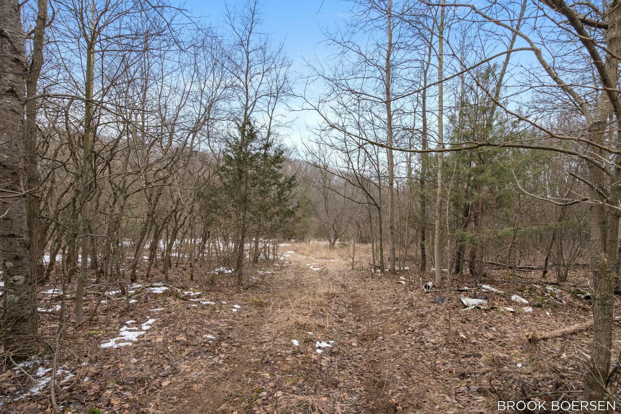 Holland, Michigan, 49423, United States, ,Land,For Sale,1984498