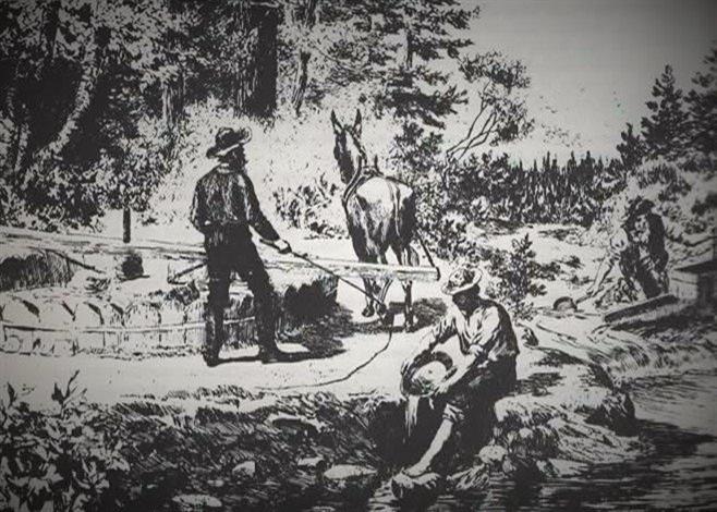 Sanger, California, 93657, United States, ,Residential,For Sale,1809815