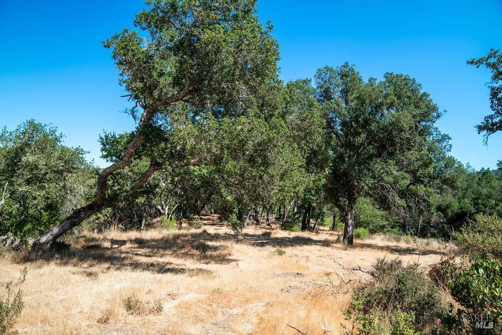 St. Helena, California, 94574, United States, ,Residential,For Sale,1846631