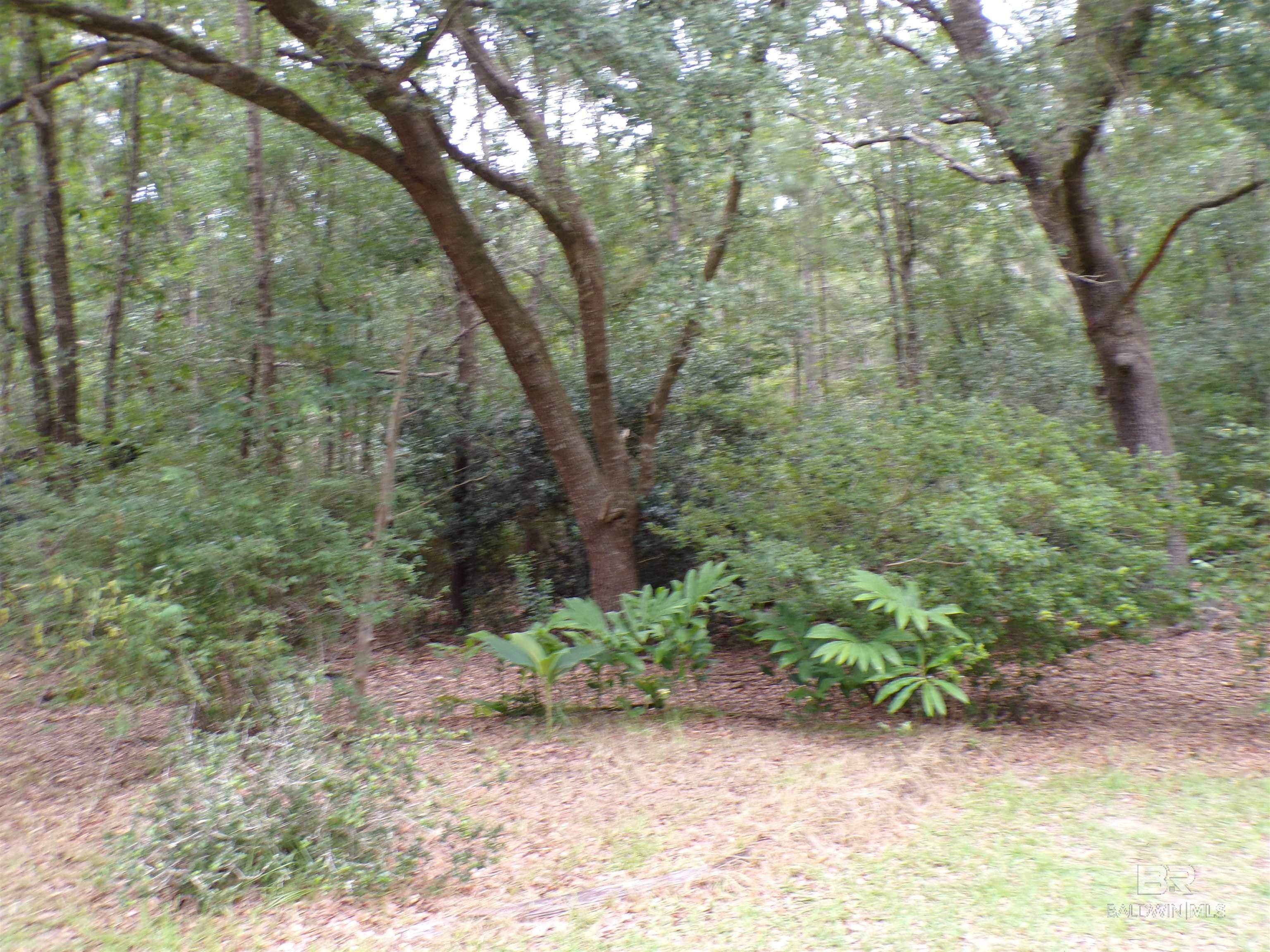 Foley, Alabama, 36535, United States, 3 Bedrooms Bedrooms, ,2 BathroomsBathrooms,Residential,For Sale,1890836