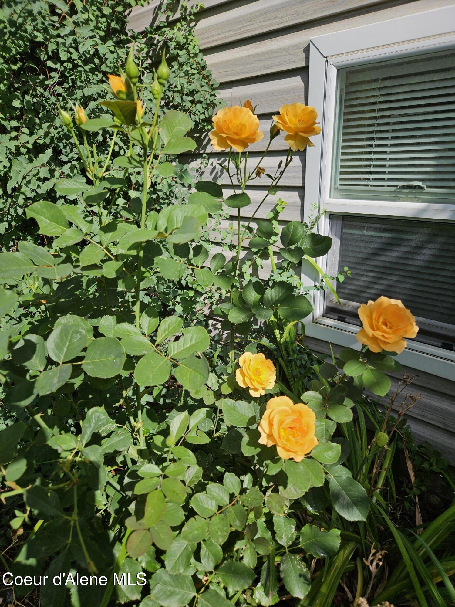 Rathdrum, Idaho, 83858, United States, 4 Bedrooms Bedrooms, ,3 BathroomsBathrooms,Residential,For Sale,2011357