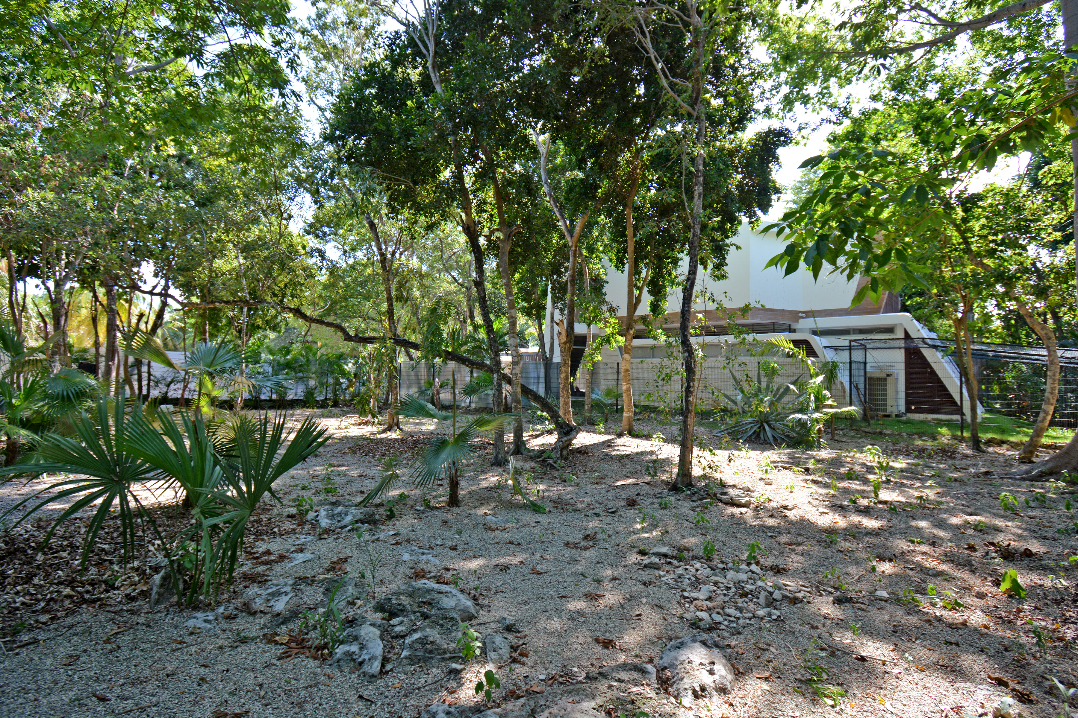  RESIDENTIAL LOT - 物件實景