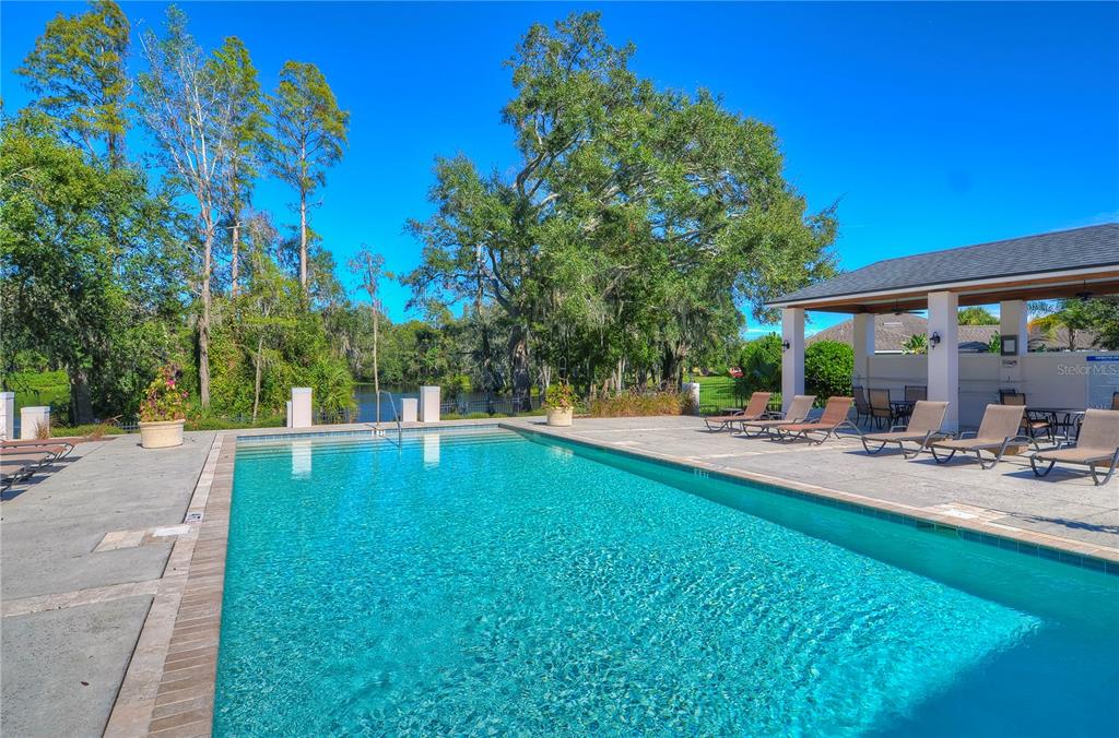 Tampa, Florida, 33625, United States, 3 Bedrooms Bedrooms, ,2 BathroomsBathrooms,Residential,For Sale,1989195