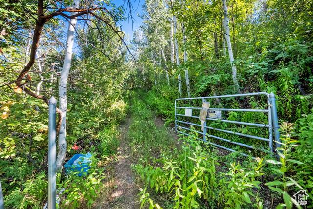 Kamas, Utah, 84036, United States, ,Residential,For Sale,1976580