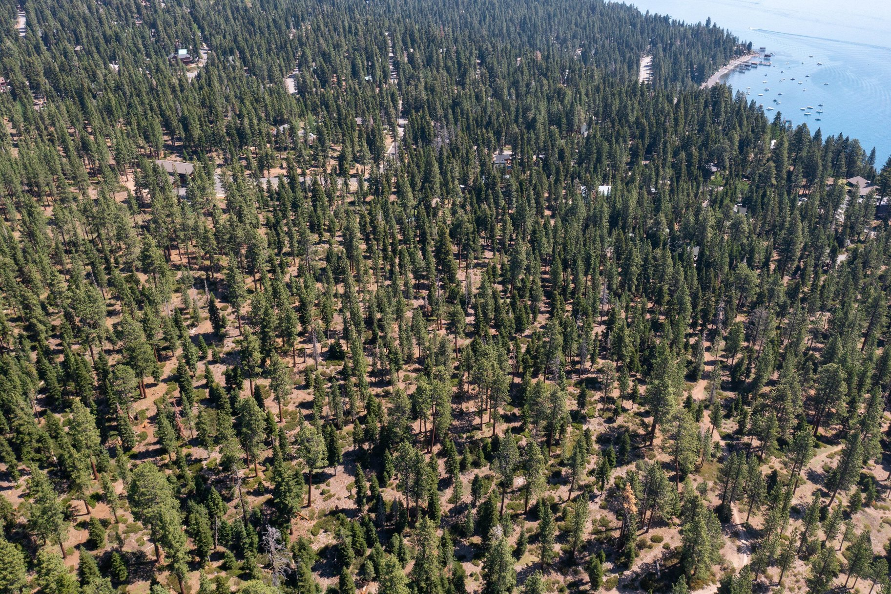  Rare, 10-acre parcel with house minutes from Tahoe City - 物件實景