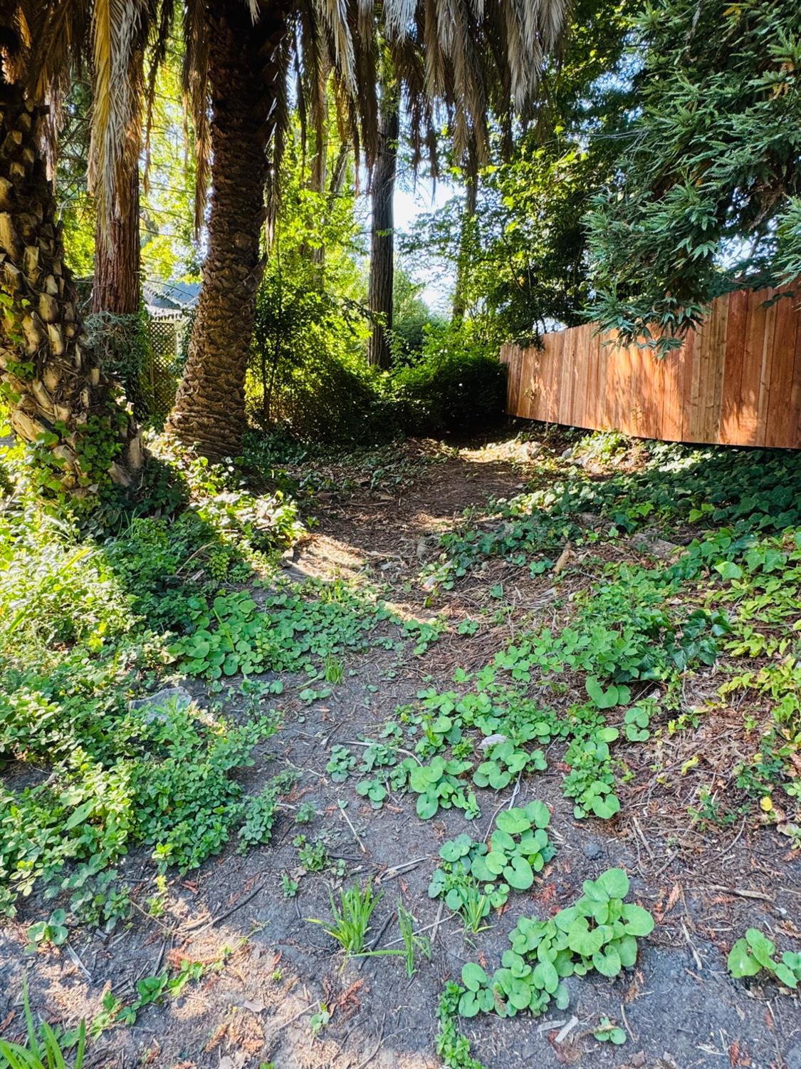 Santa Cruz, California, 95060, United States, 3 Bedrooms Bedrooms, ,2 BathroomsBathrooms,Residential,For Sale,2001181