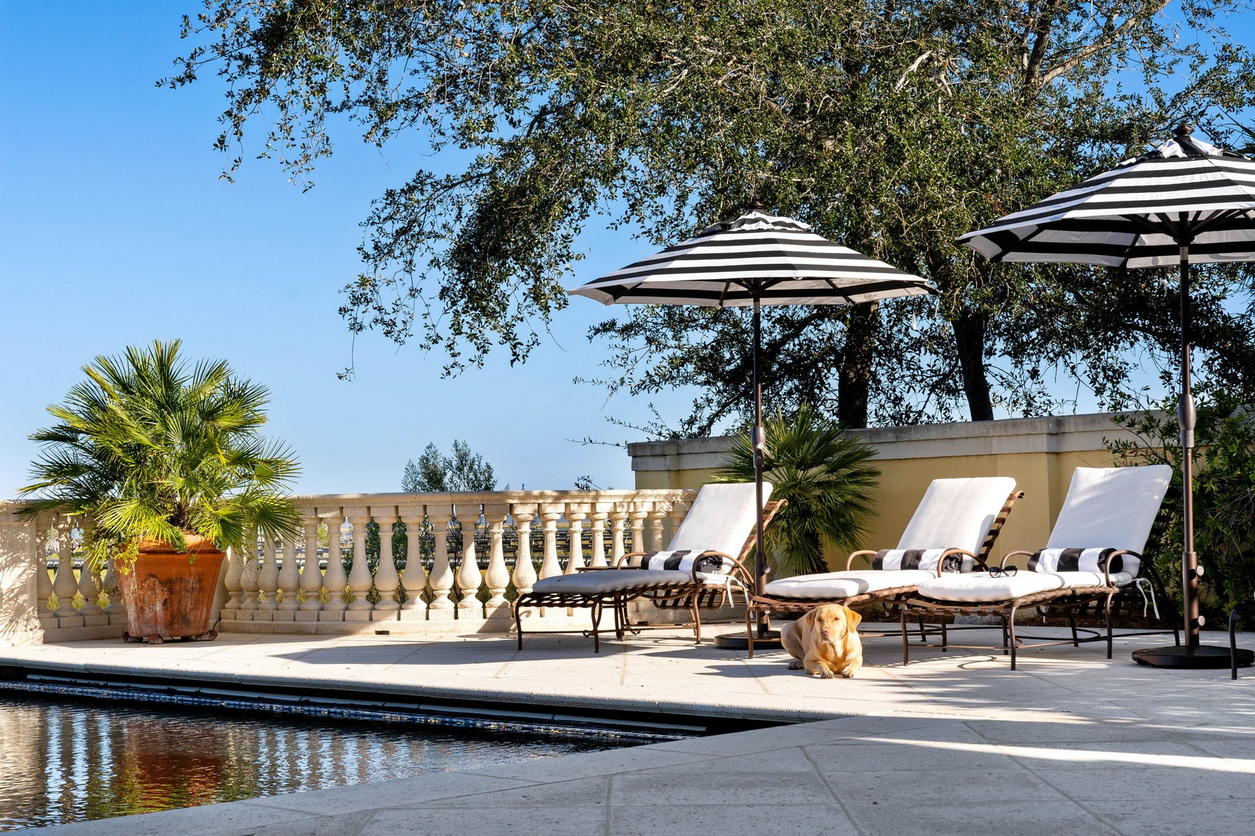  318 West 46th Street - 物件實景