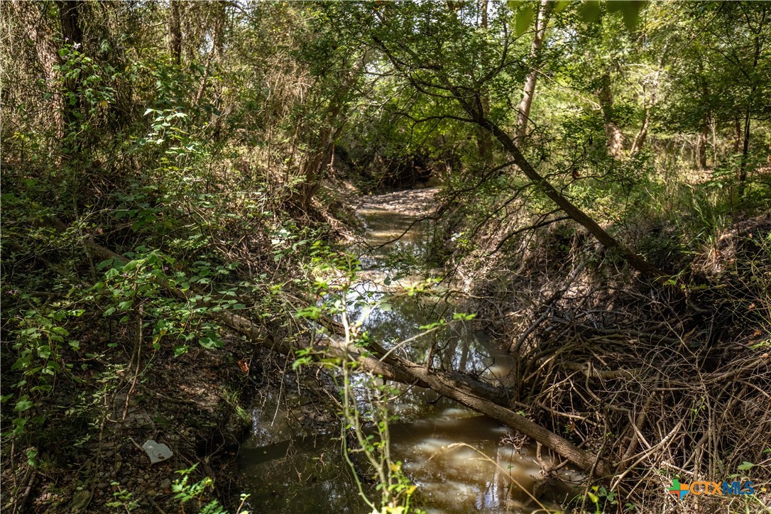 Cuero, Texas, 77954, United States, ,Residential,For Sale,1949163