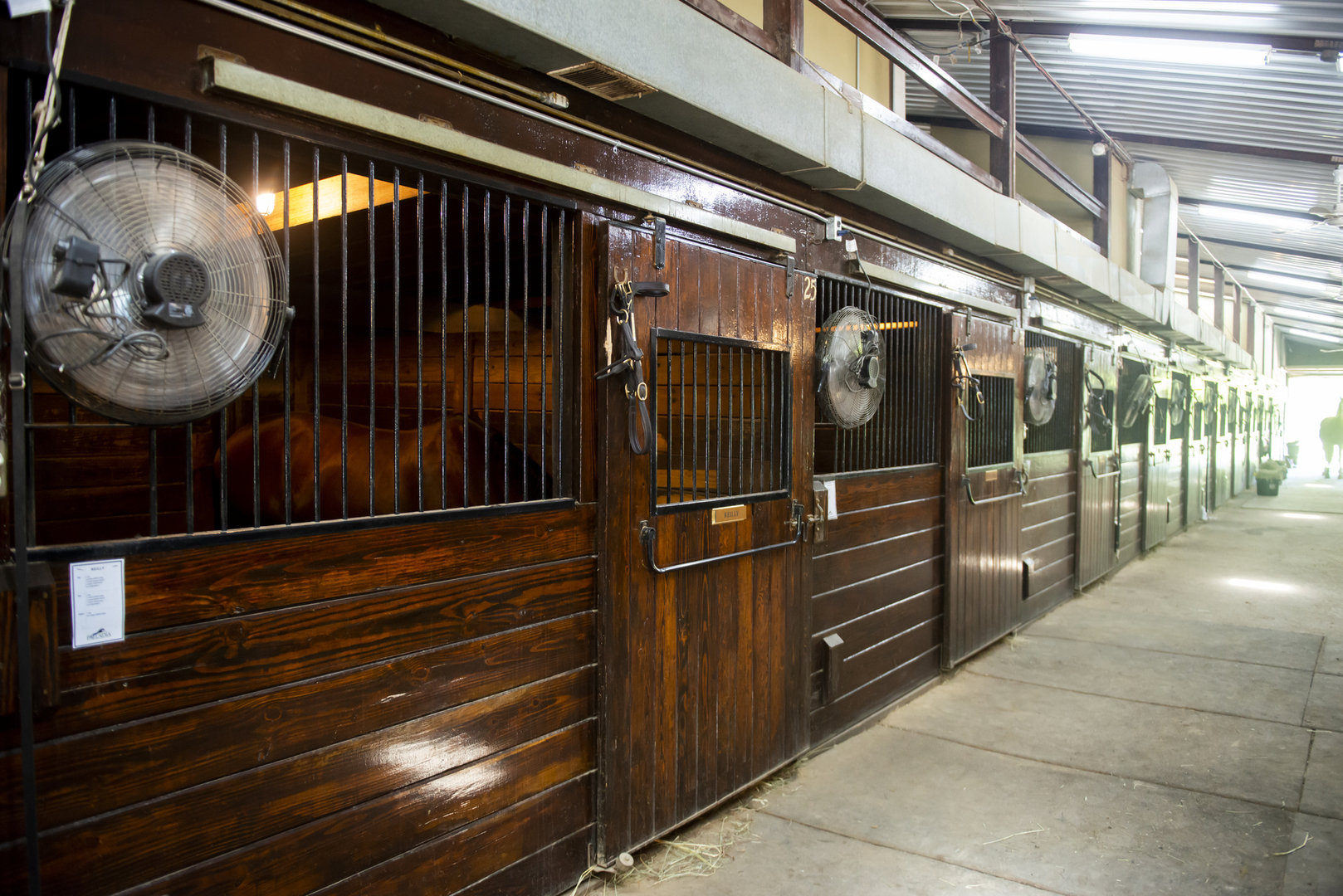 Green Oaks, Illinois, 60048, United States, ,Land,For Sale,1980165