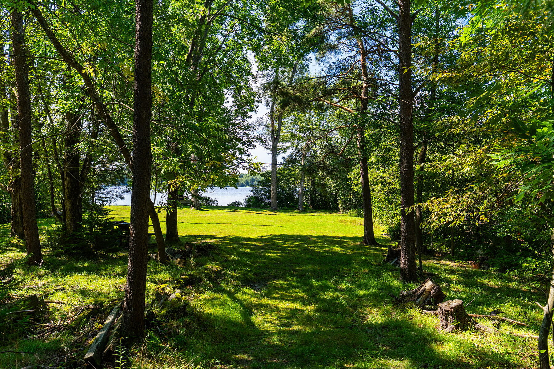  Lake Rosseau Legacy Estate - 物件實景