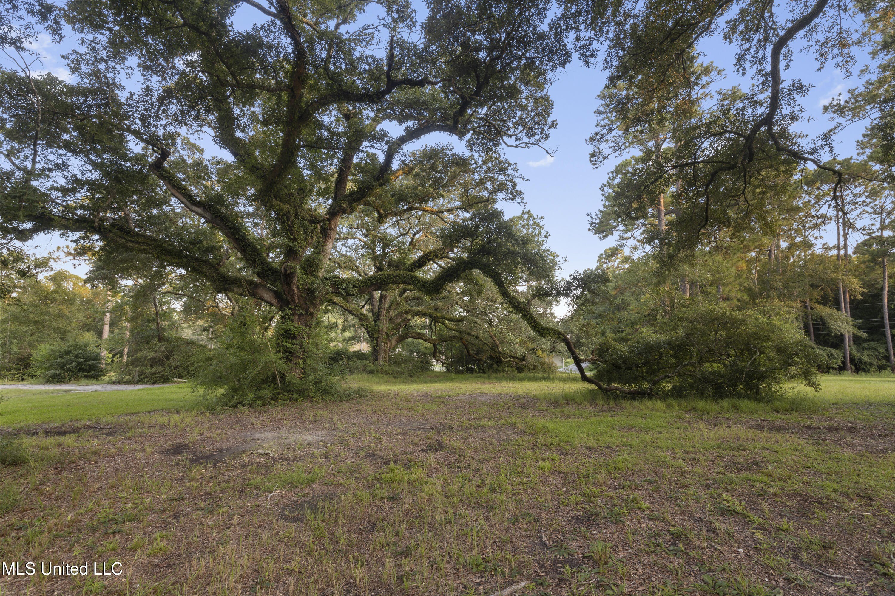 Ocean Springs, Mississippi, 39564, United States, ,Land,For Sale,1981967