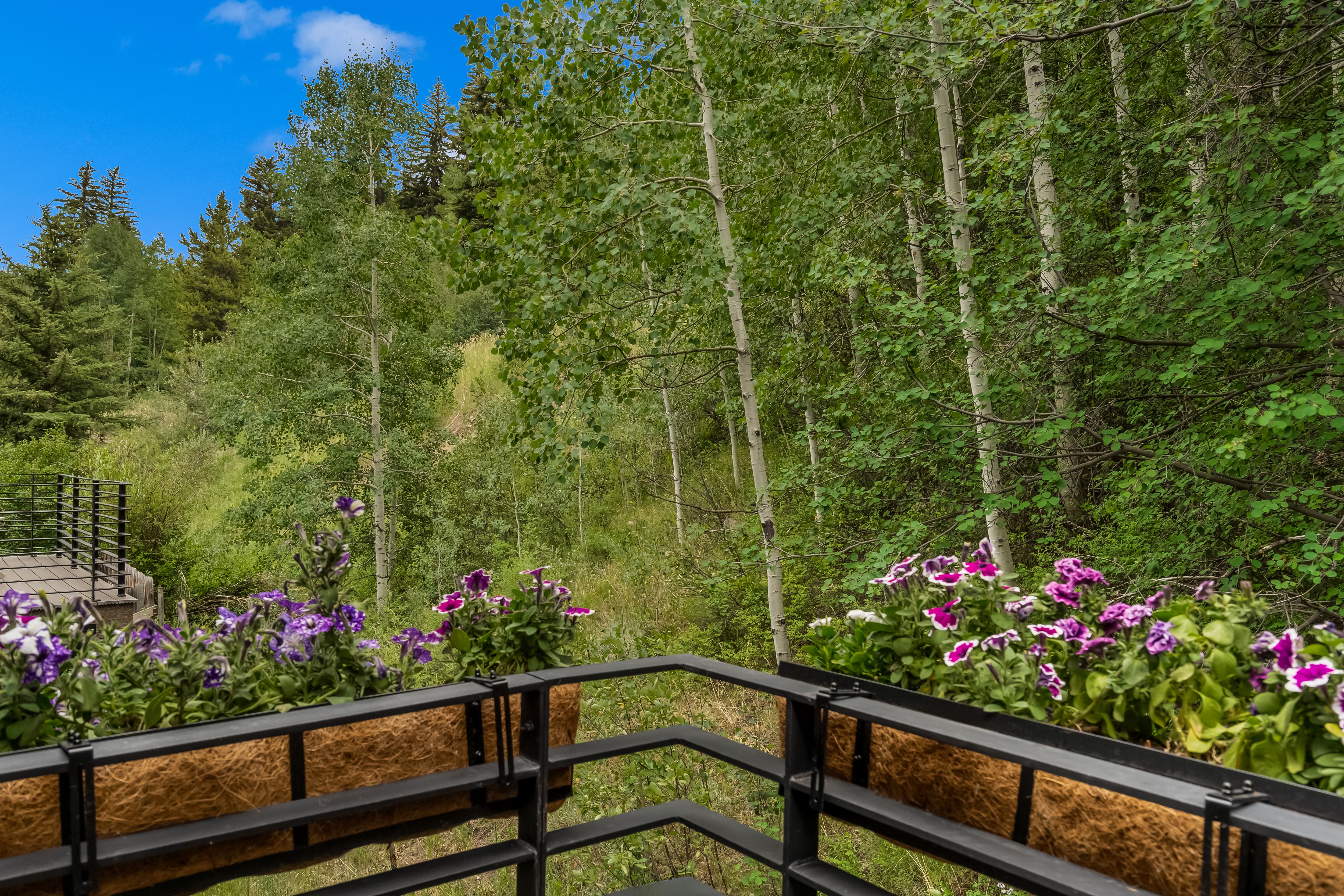  851 Main Street, Minturn, CO, 81645 - 物件實景