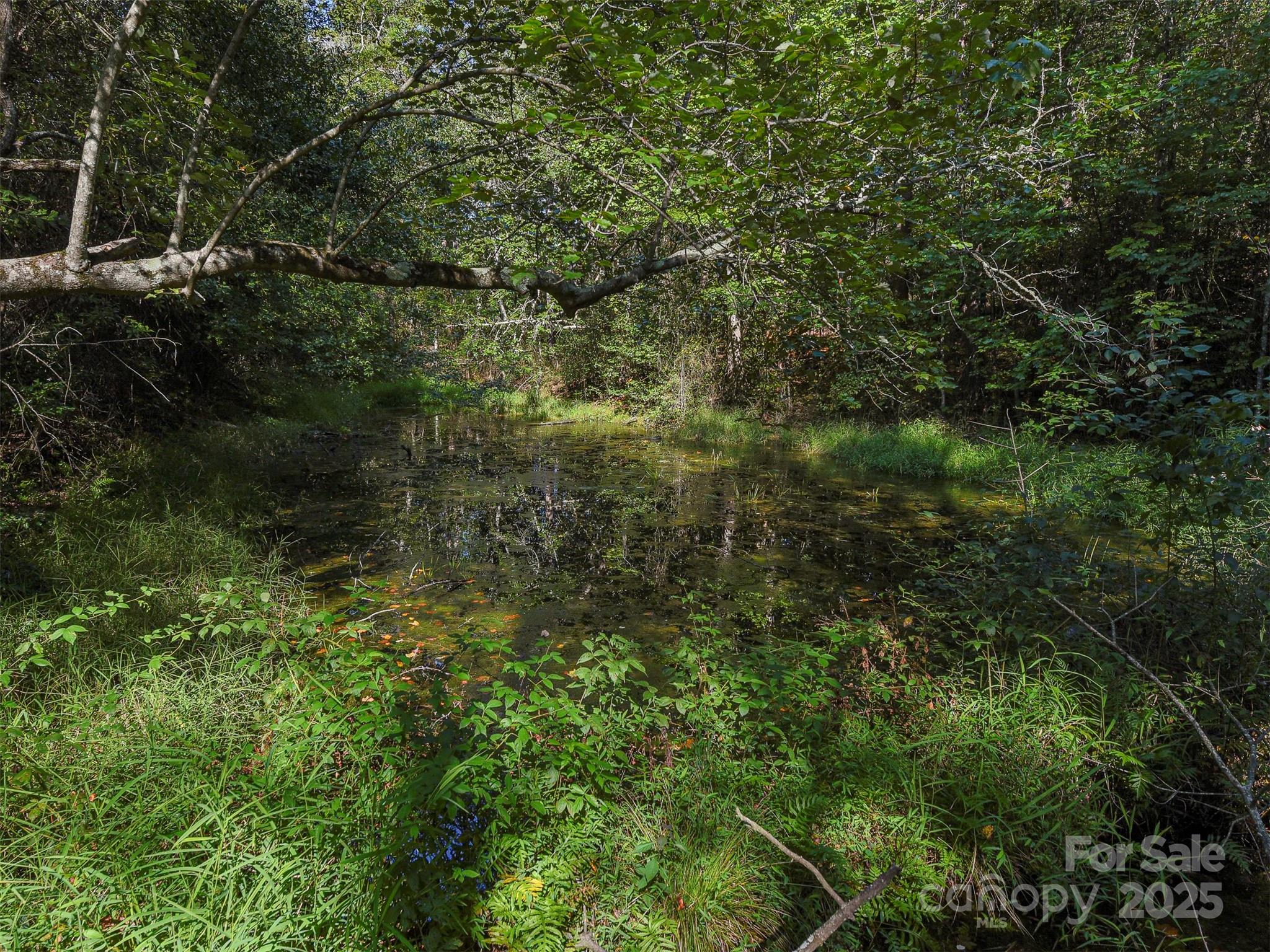 Forest City, North Carolina, 28043, United States, 2 Bedrooms Bedrooms, ,1 BathroomBathrooms,Residential,For Sale,1983157