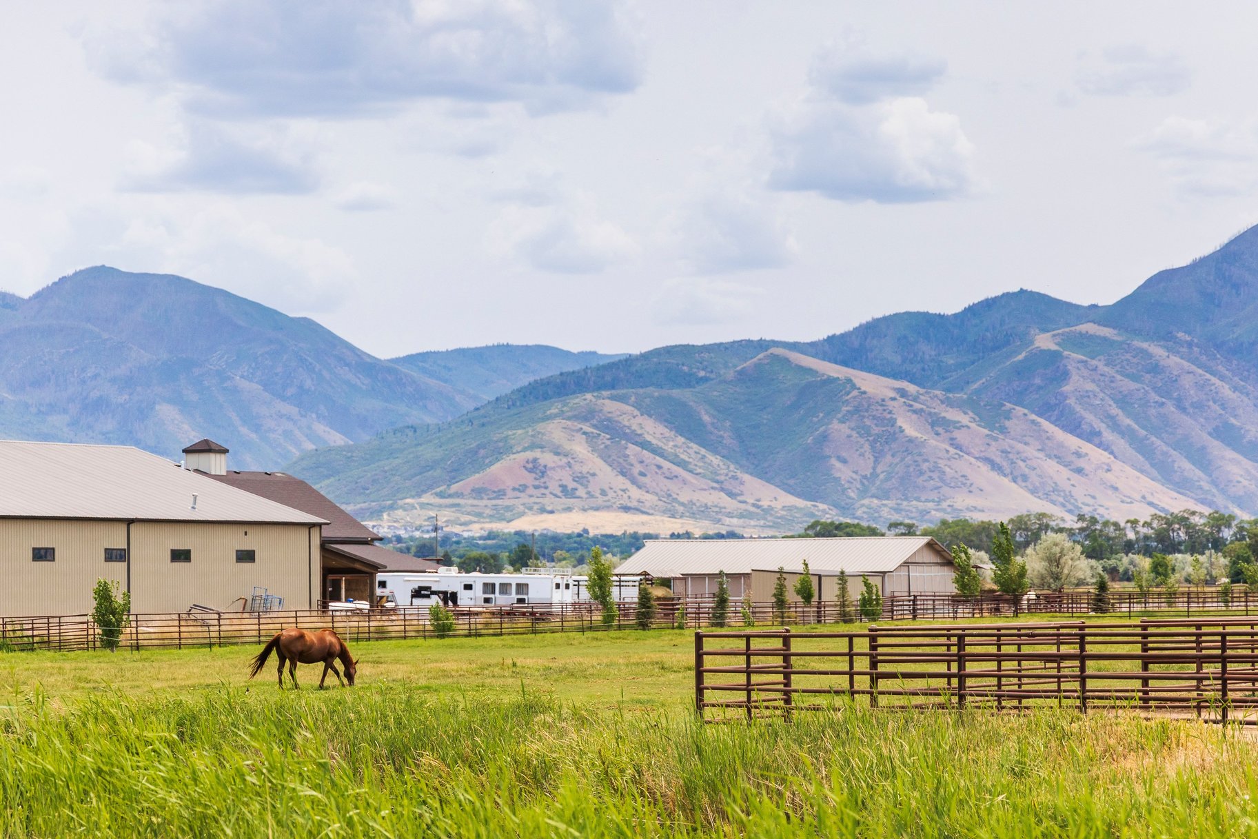  Refined Farmhouse Living with Professional Horse Facilities - 物件實景