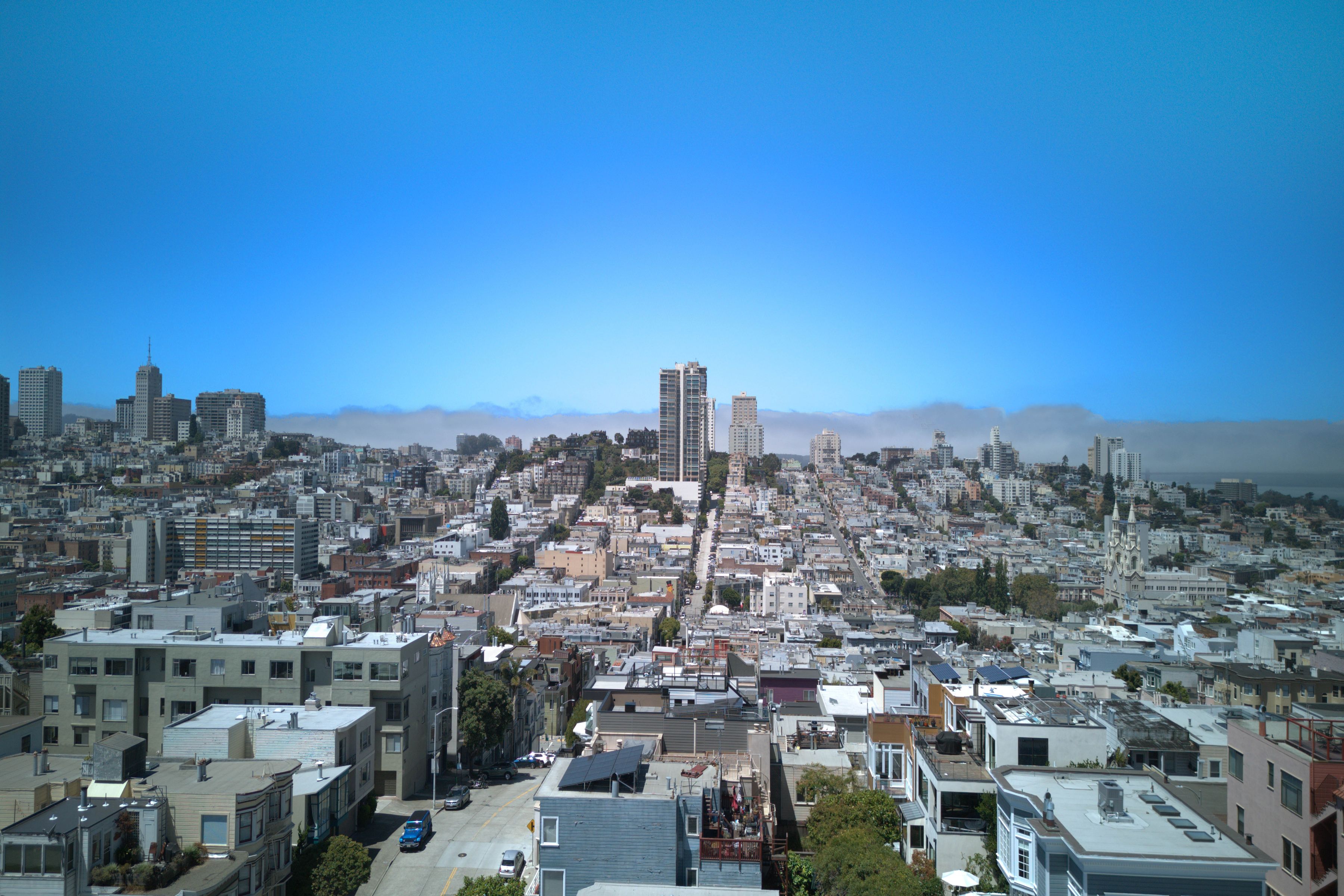  Telegraph Hill Trophy - 物件實景