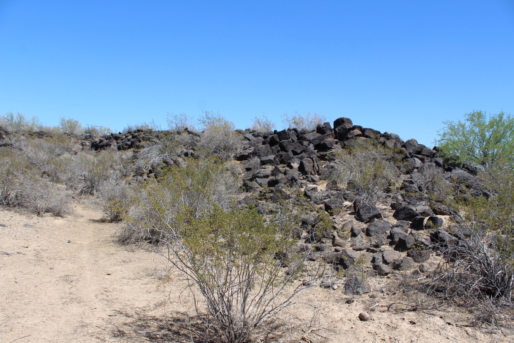  11 S 337th Avenue, Arlington, AZ, 85322 - 物件實景