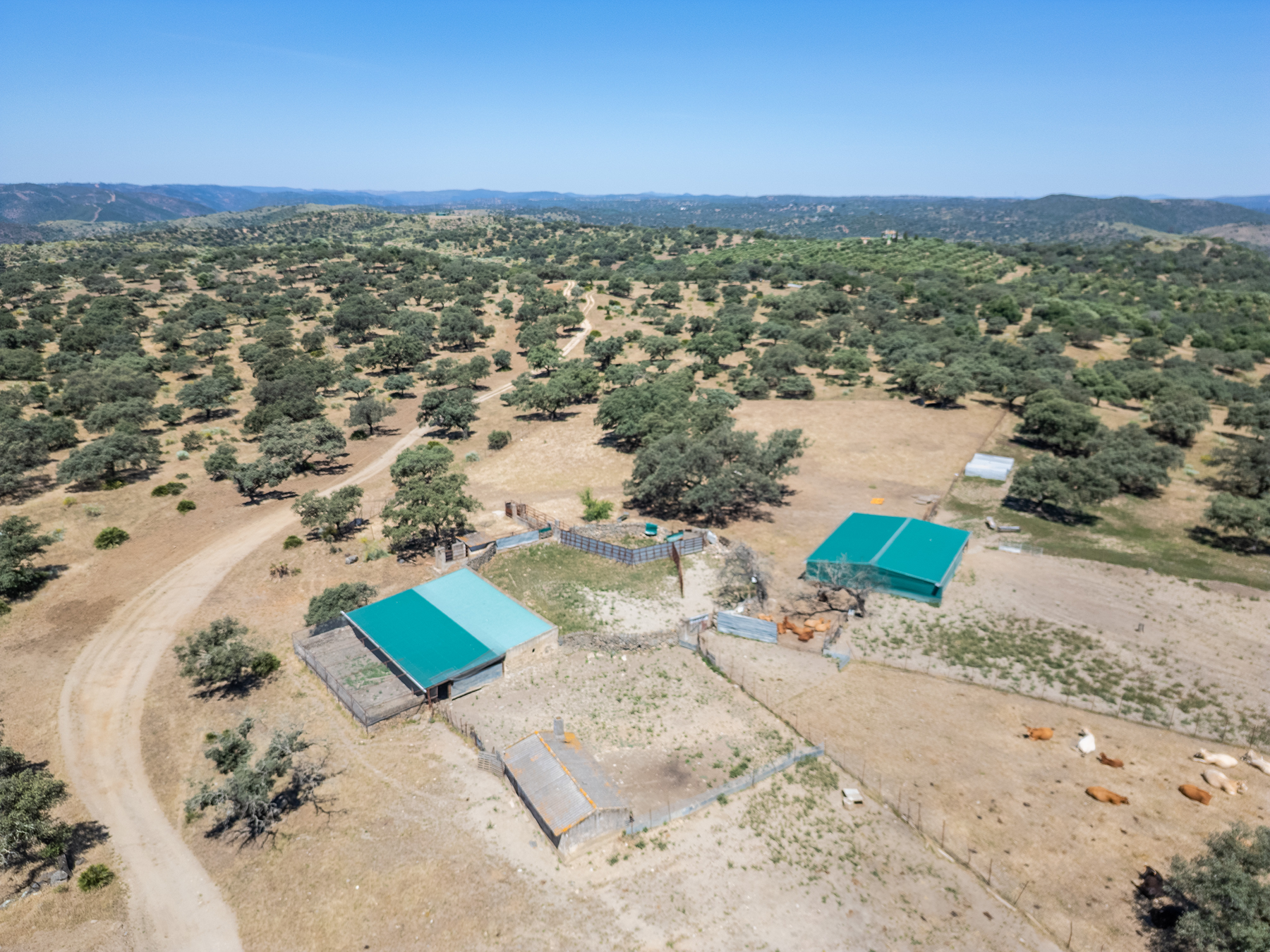  Livestock, hunting, and recreational estate in Castiblanco de los Arroyos - 物件實景