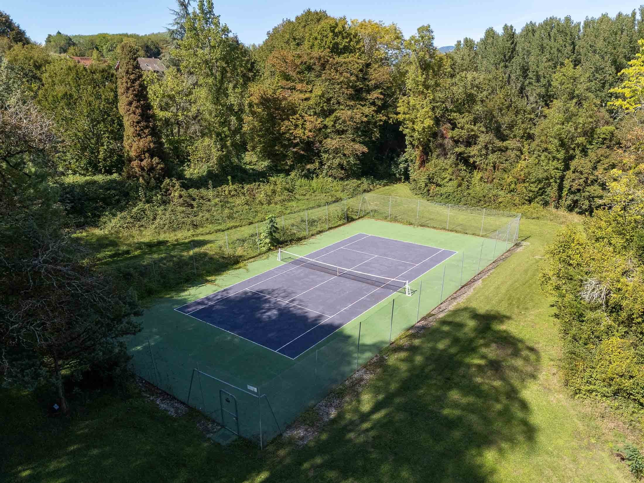  Elegant manor- close to the famed vineyards of Bugey - 物件實景