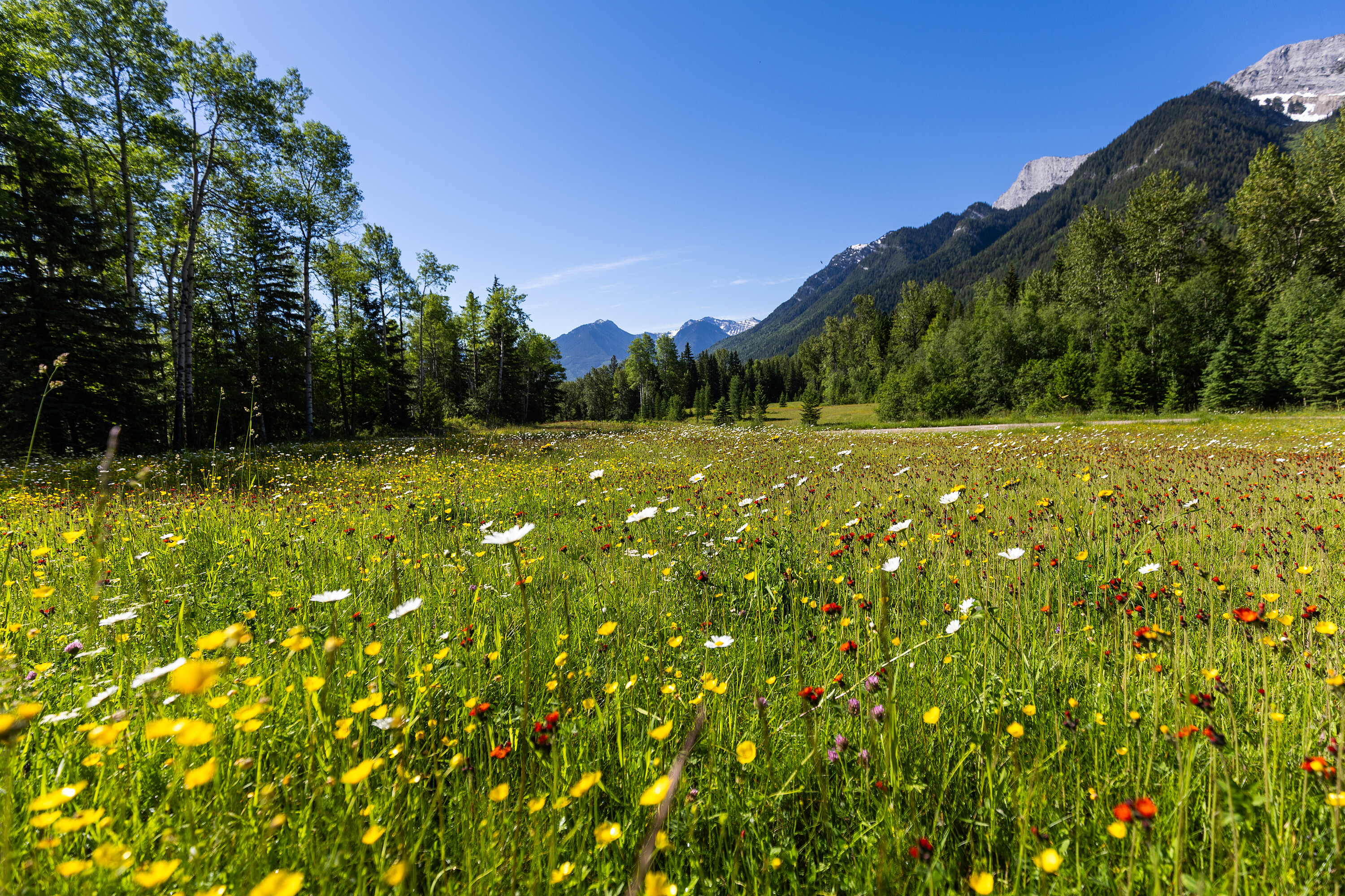  Exclusive Mountain Property - 物件實景