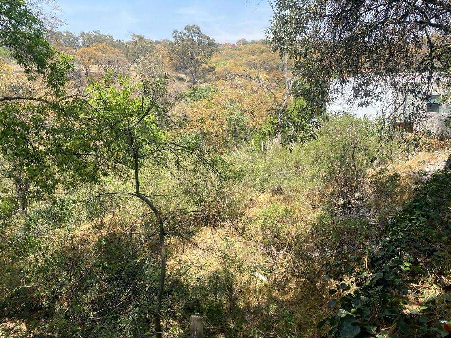 Atizapán de Zaragoza, Estado de méxico, 52938, Mexico, 1 Bedroom Bedrooms, ,Residential,For Sale,1770652