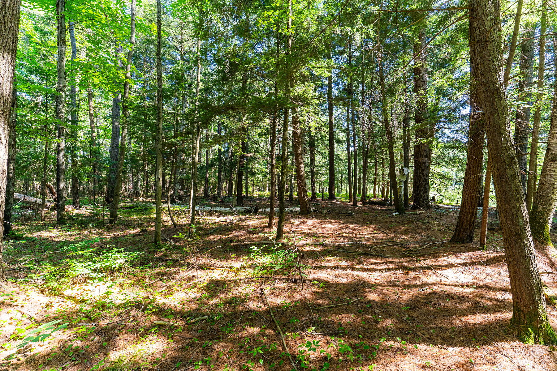  Buck River Huntsville - 物件實景