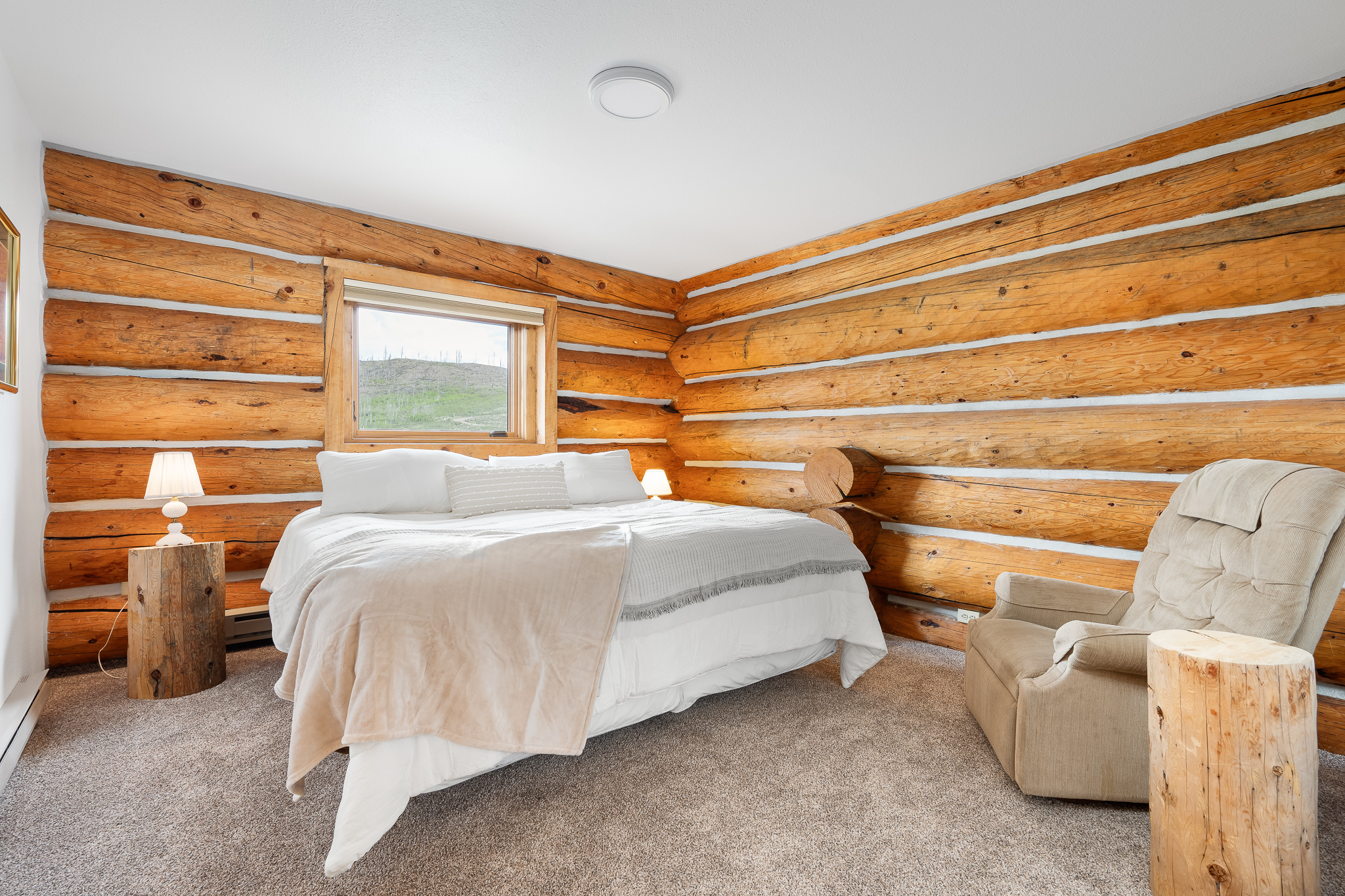  135 Gcr 4110, Granby, CO, 80446 - 物件實景