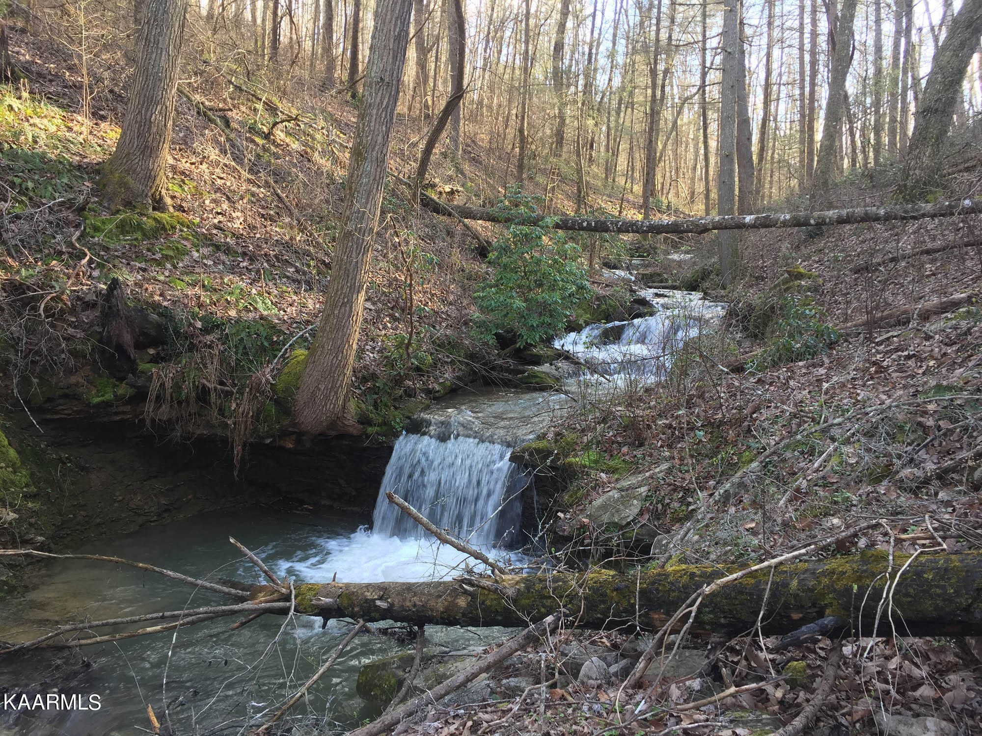 Pikeville, Tennessee, 37367, United States, ,Residential,For Sale,1943070