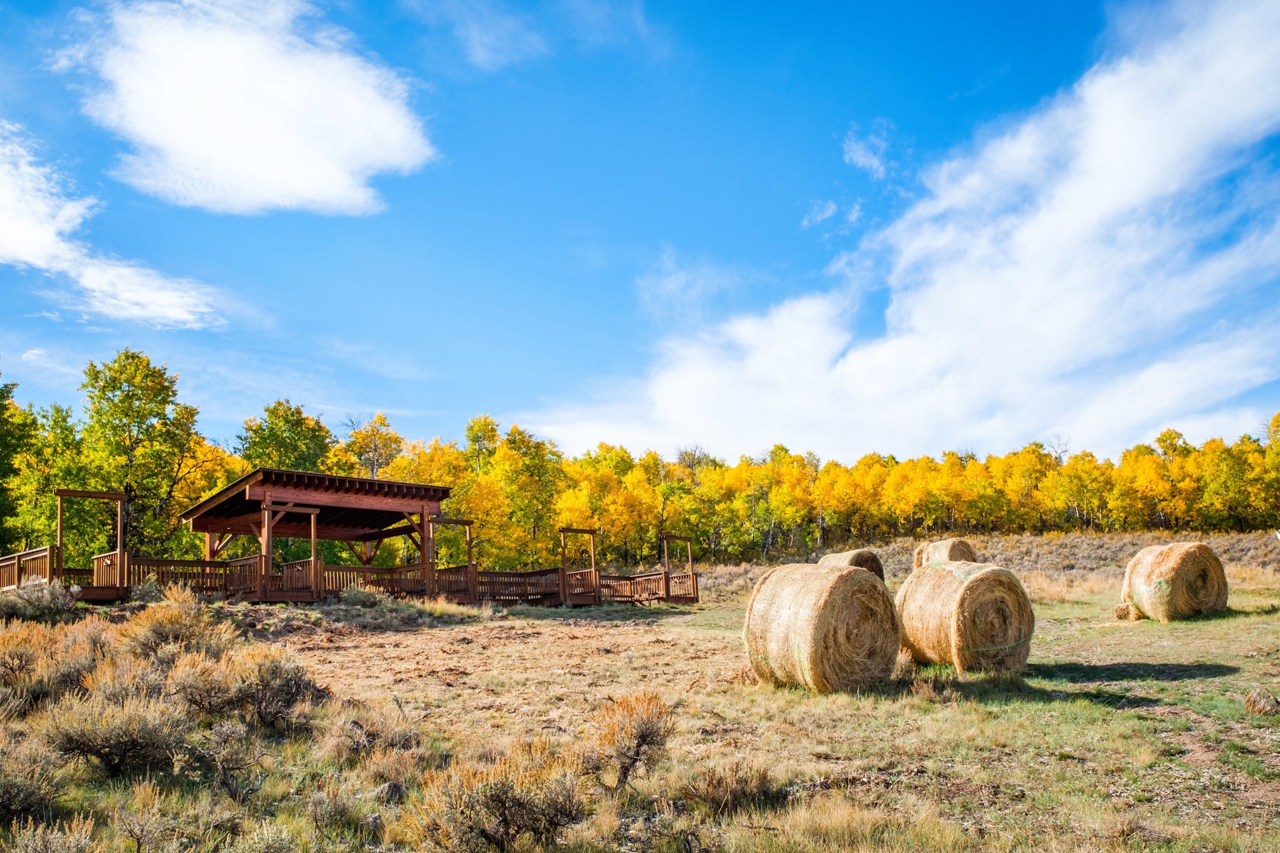  Experience Elevated Mountain Living in this Cottonwood Cabin at Victory Ranch - 物件實景