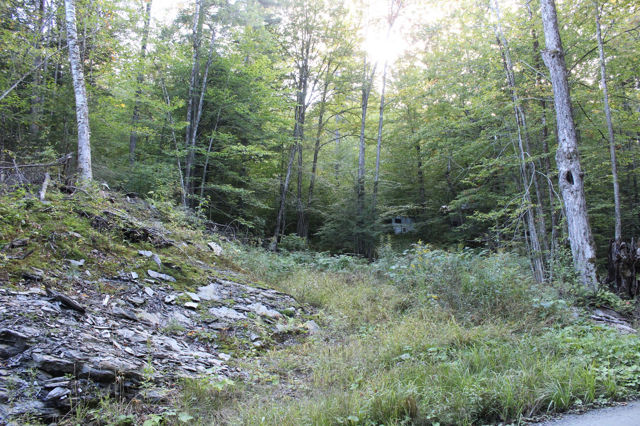  38 Johnson Hill Road - 物件實景