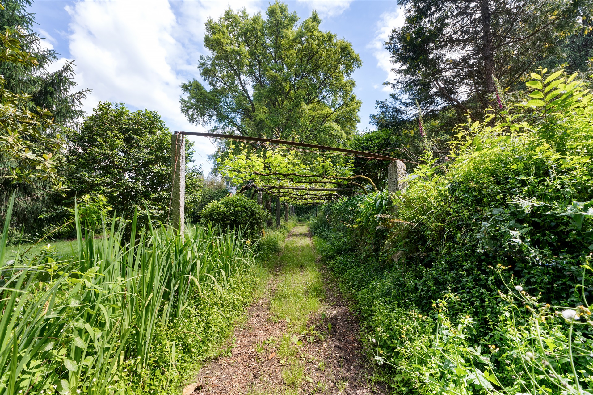  Farm, 10 bedrooms, for Sale - 物件實景