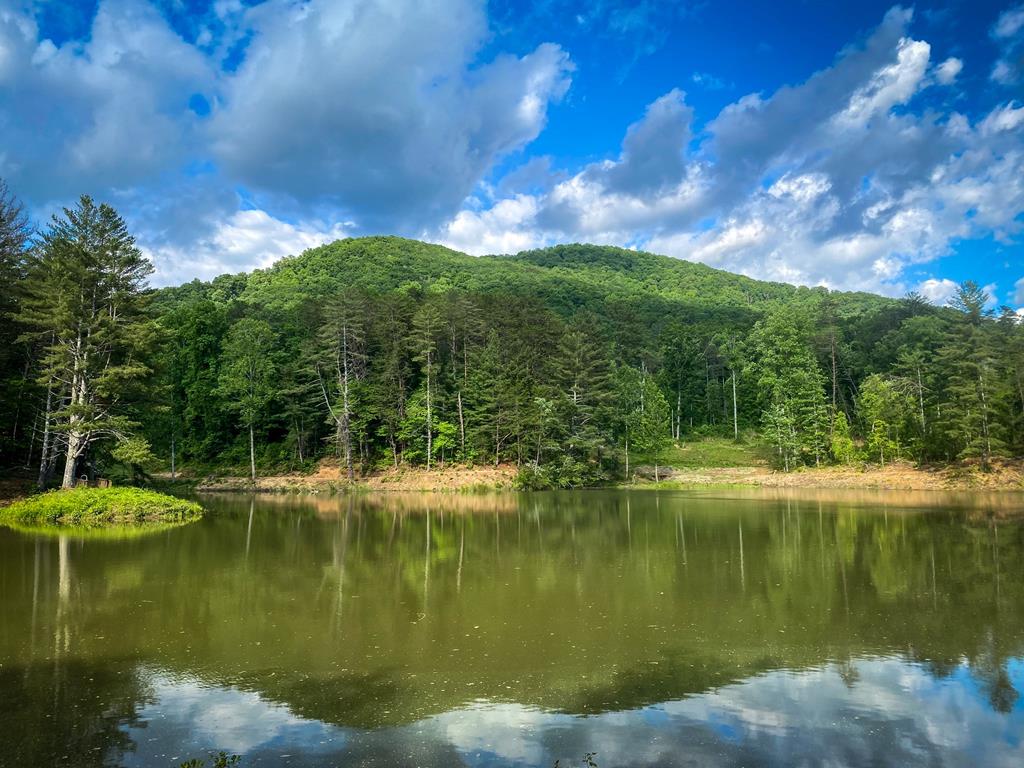 Ellijay, Georgia, 30536, United States, 5 Bedrooms Bedrooms, ,3 BathroomsBathrooms,Residential,For Sale,1982732