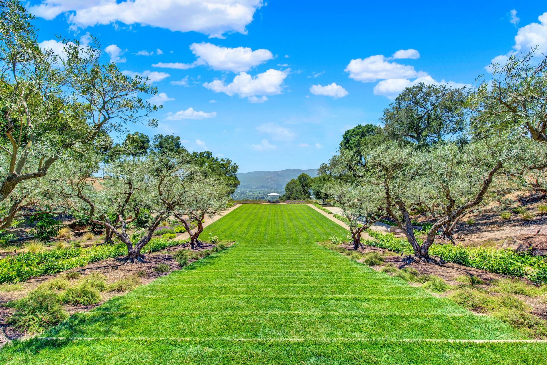 Exceptional Napa Valley Estate Set On 40 Private Acres - 物件實景