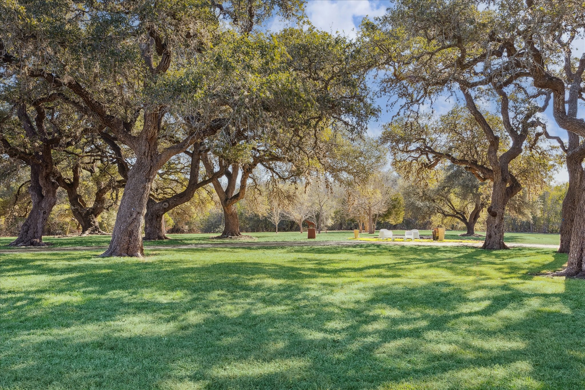  509 N Live Oak Street - 物件實景