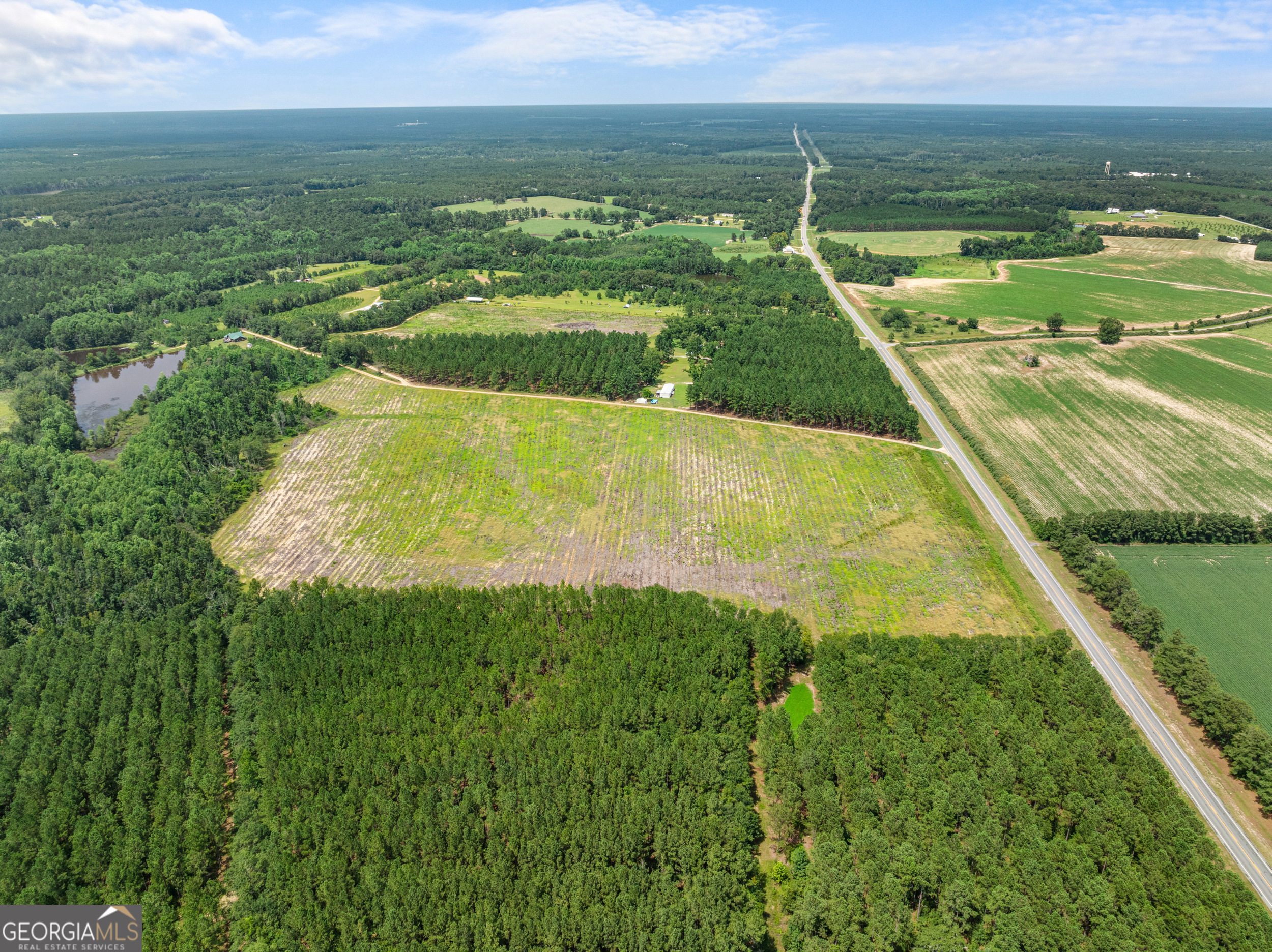 Statesboro, Georgia, 30458, United States, ,Land,For Sale,1911473