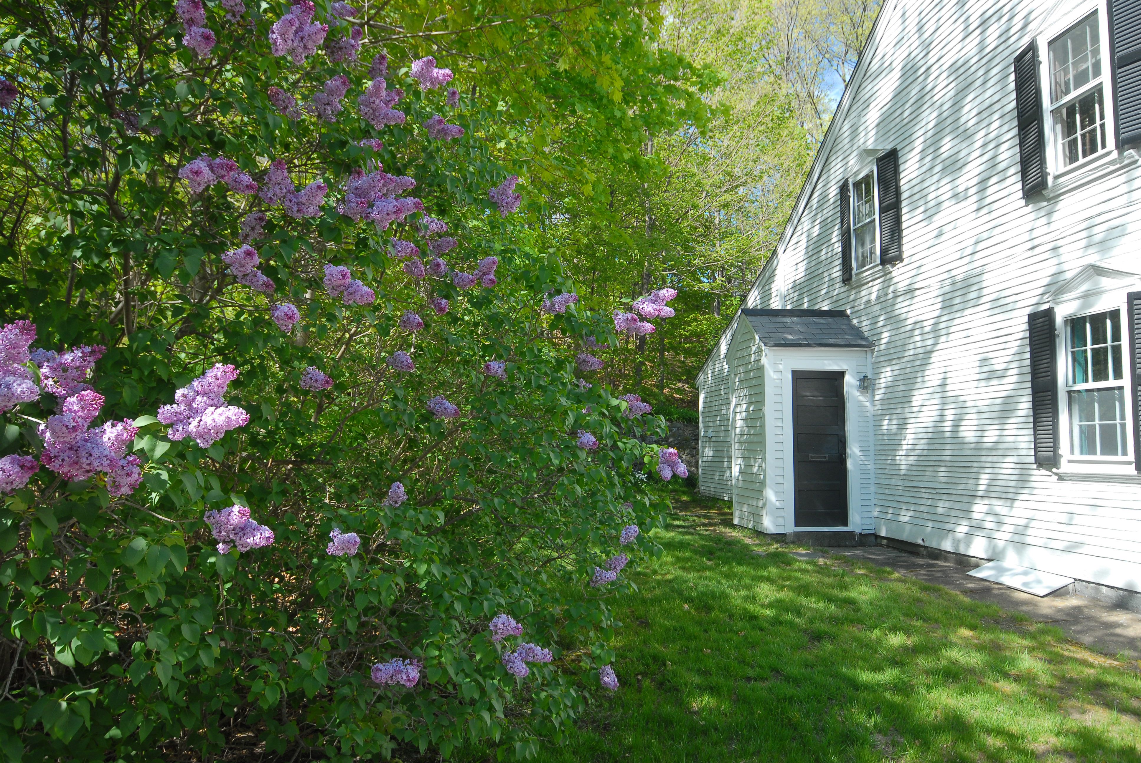  105 Lexington Road, Concord, MA 01742 - 物件實景