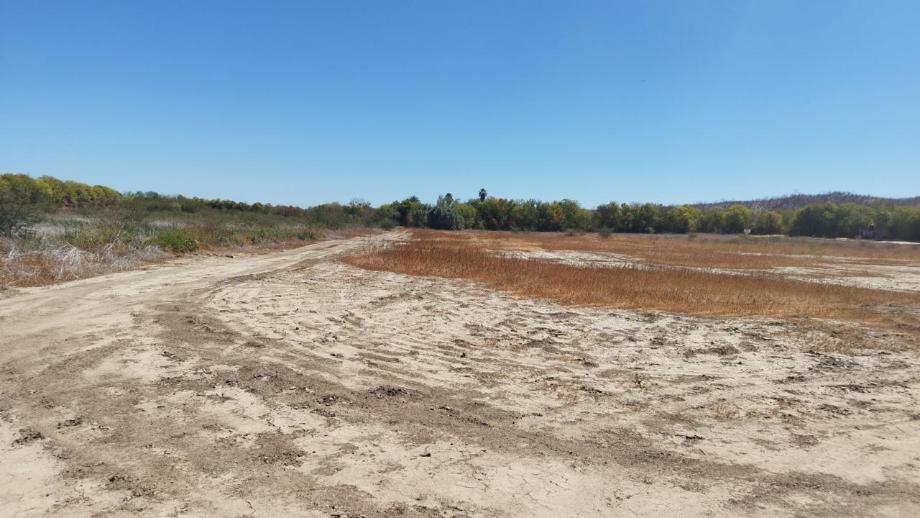 Matancitas, Baja California Sur, 23500, Mexico, 1 Bedroom Bedrooms, ,Residential,For Sale,1917738