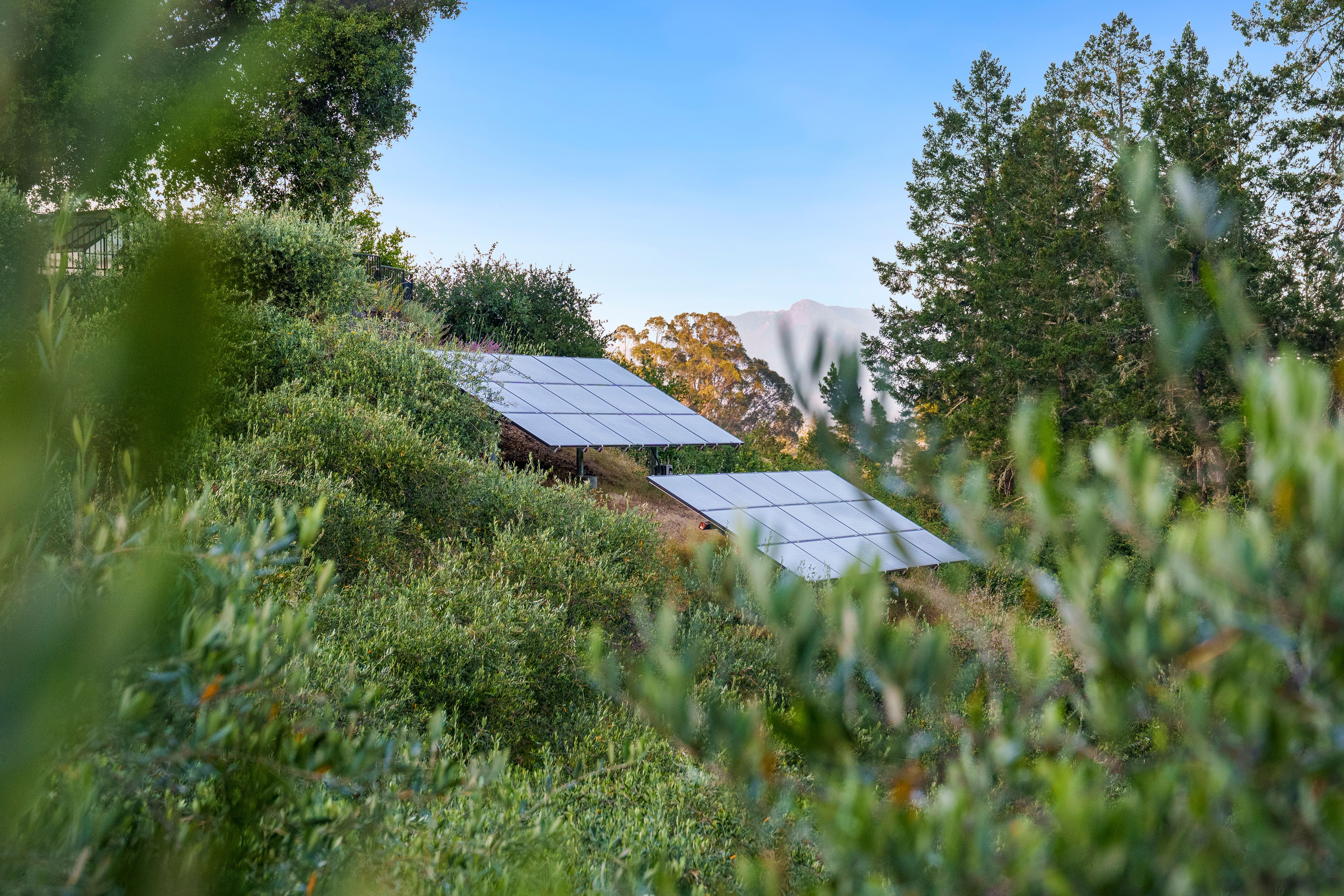  2355 West Dry Creek Road, Healdsburg, CA 95448 - 物件實景