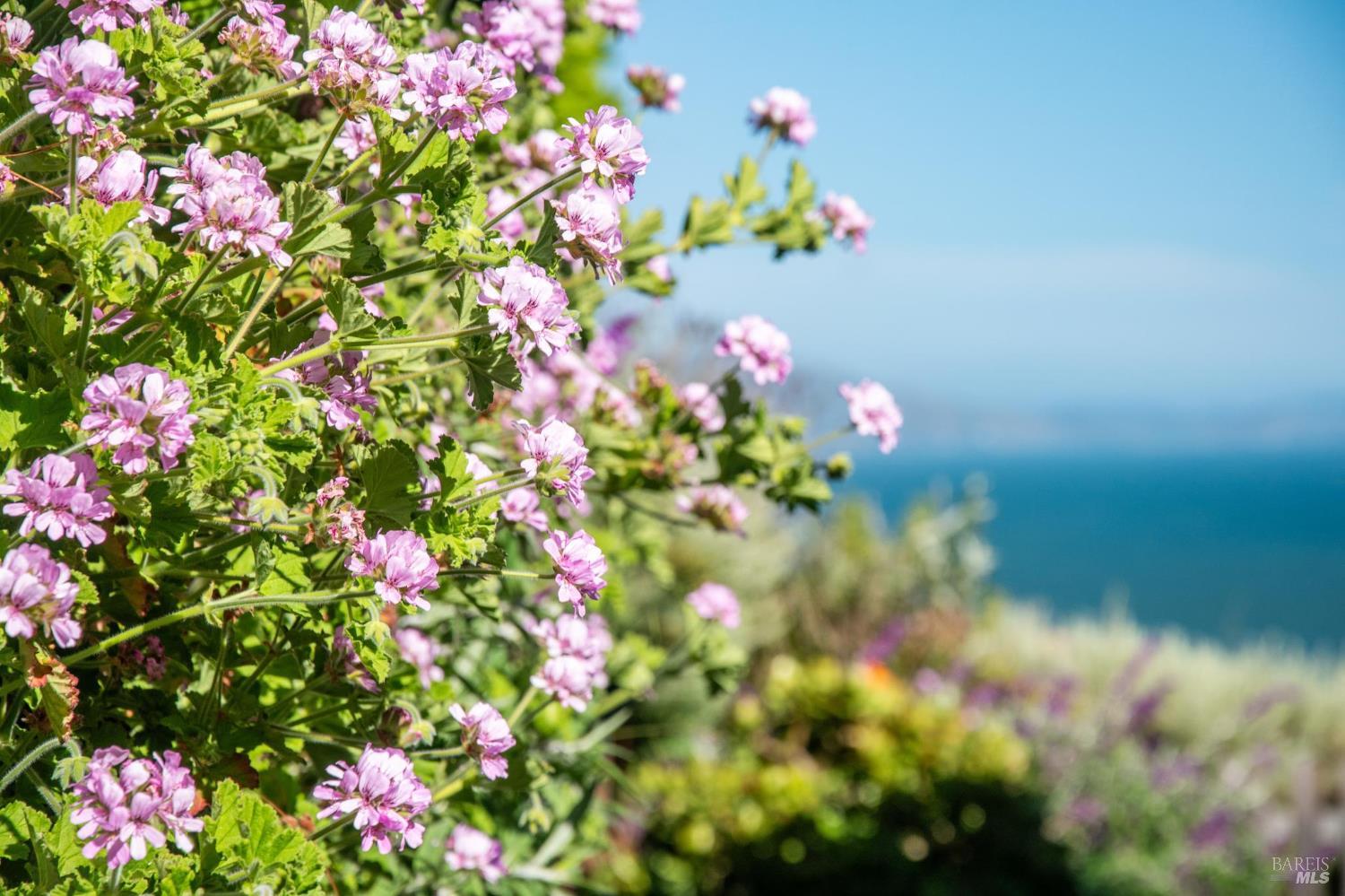 Bolinas, California, 94924, United States, 3 Bedrooms Bedrooms, ,2 BathroomsBathrooms,Residential,For Sale,2003104